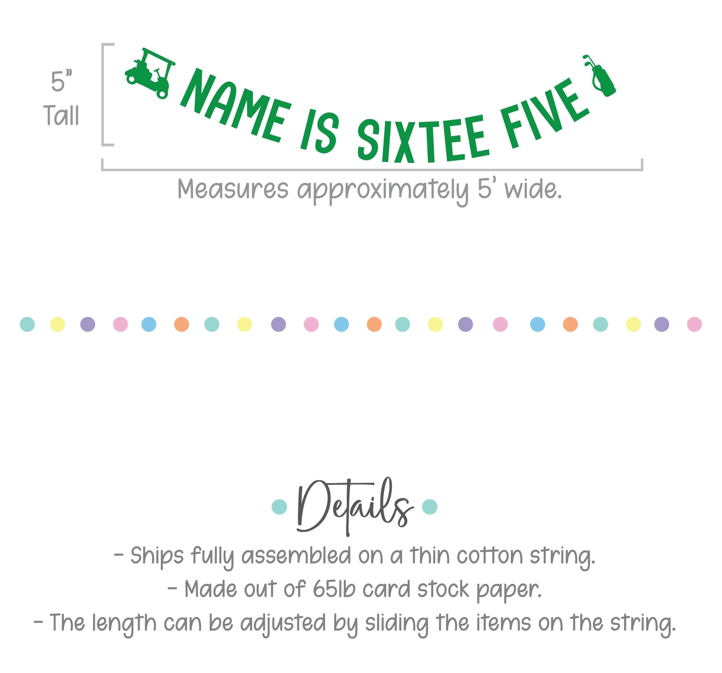 Name Is Sixtee Five, 65th Birthday Banner, Golf Themed Birthday Banner, 65th Birthday Ideas, Men&#39;s 60s Birthday Theme Ideas, Golf Birthday