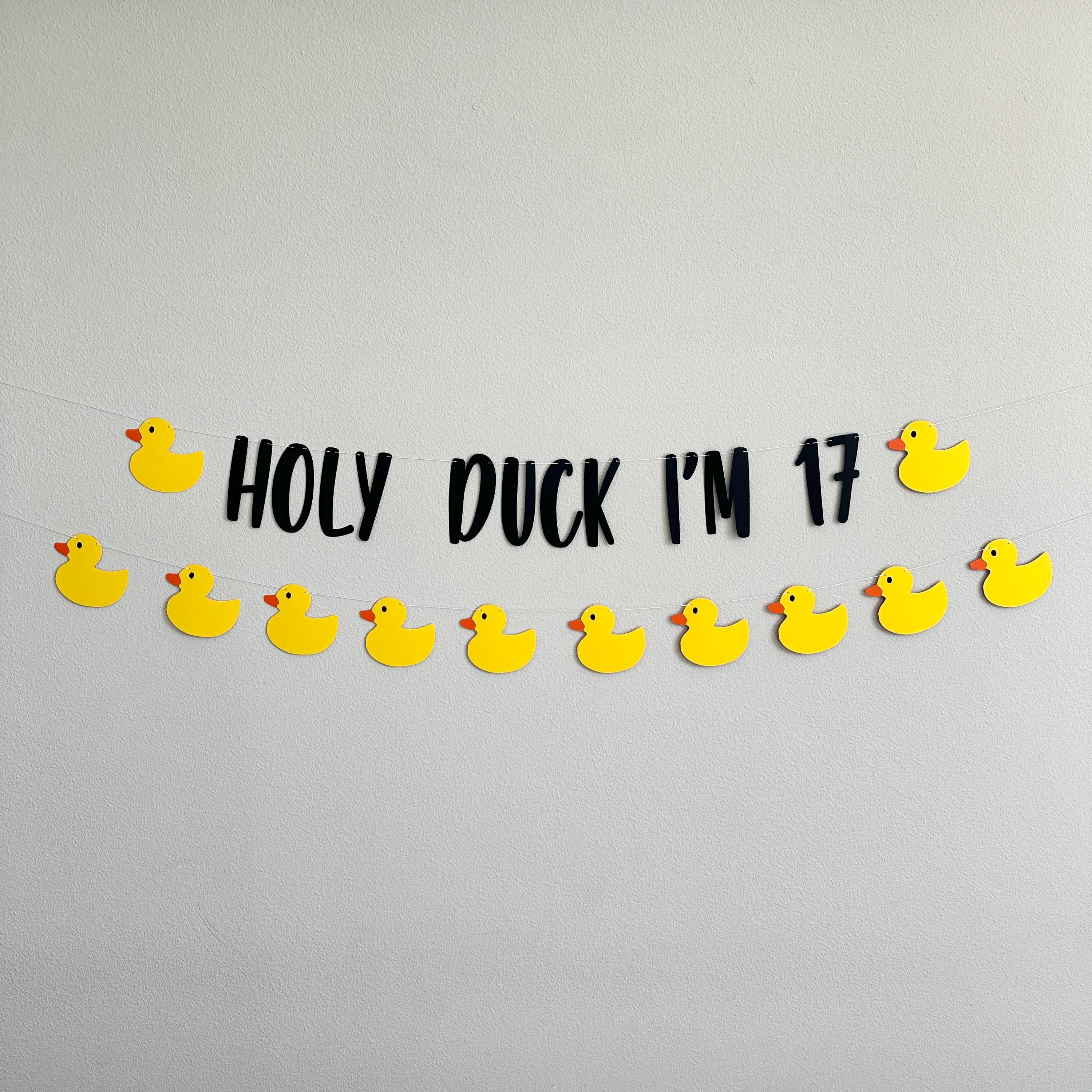 Holy Duck I&#39;m 17, 17th Birthday Party, 17th Birthday Ideas, Seventeen, 17th Birthday Party Theme Ideas, Duck Themed 17t Birthday Banner