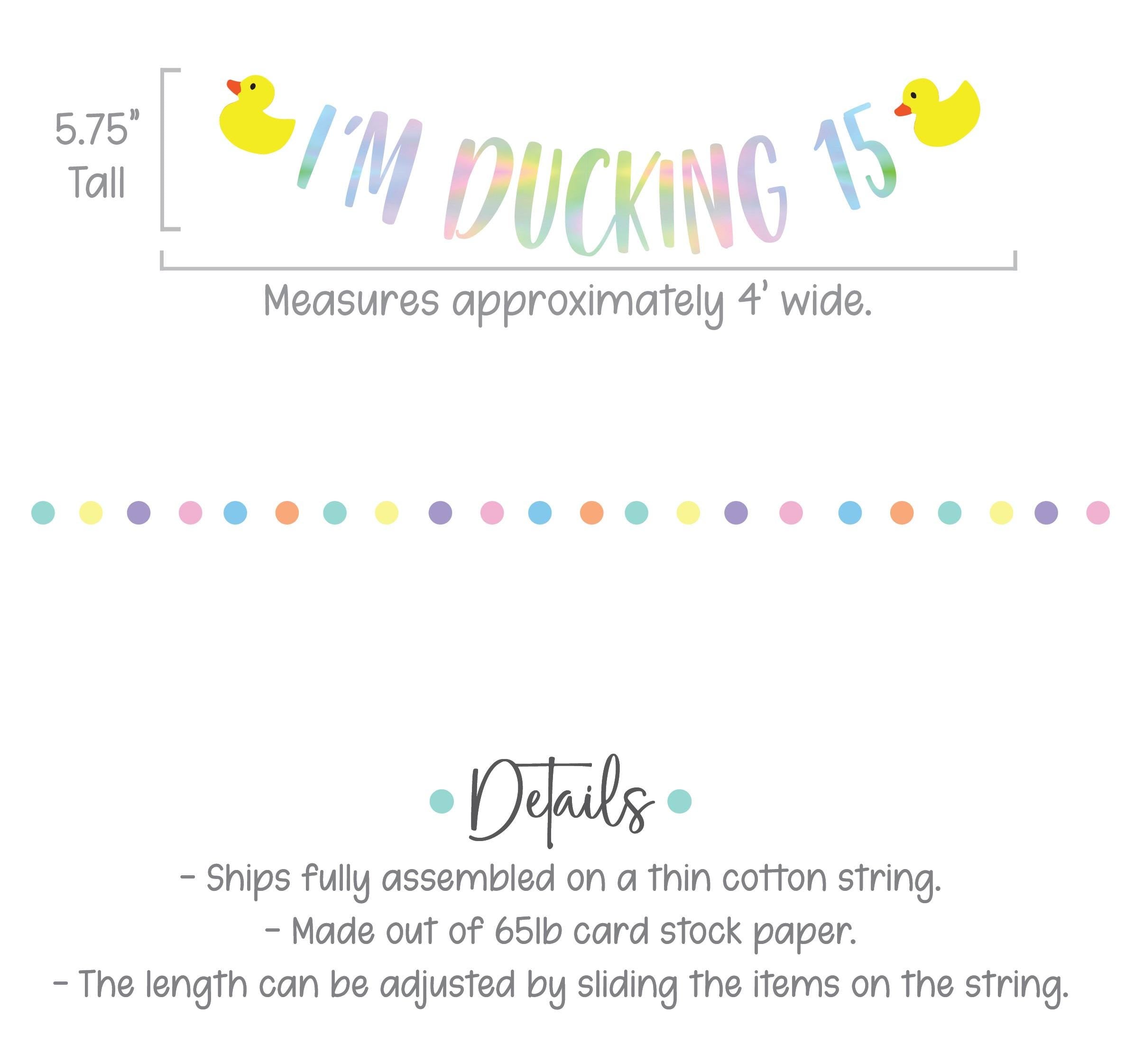 I&#39;m Ducking 15, 15th Birthday Party Banner, 15th Birthday Party Theme Ideas, Duck 15th Birthday Decorations, Fifteen