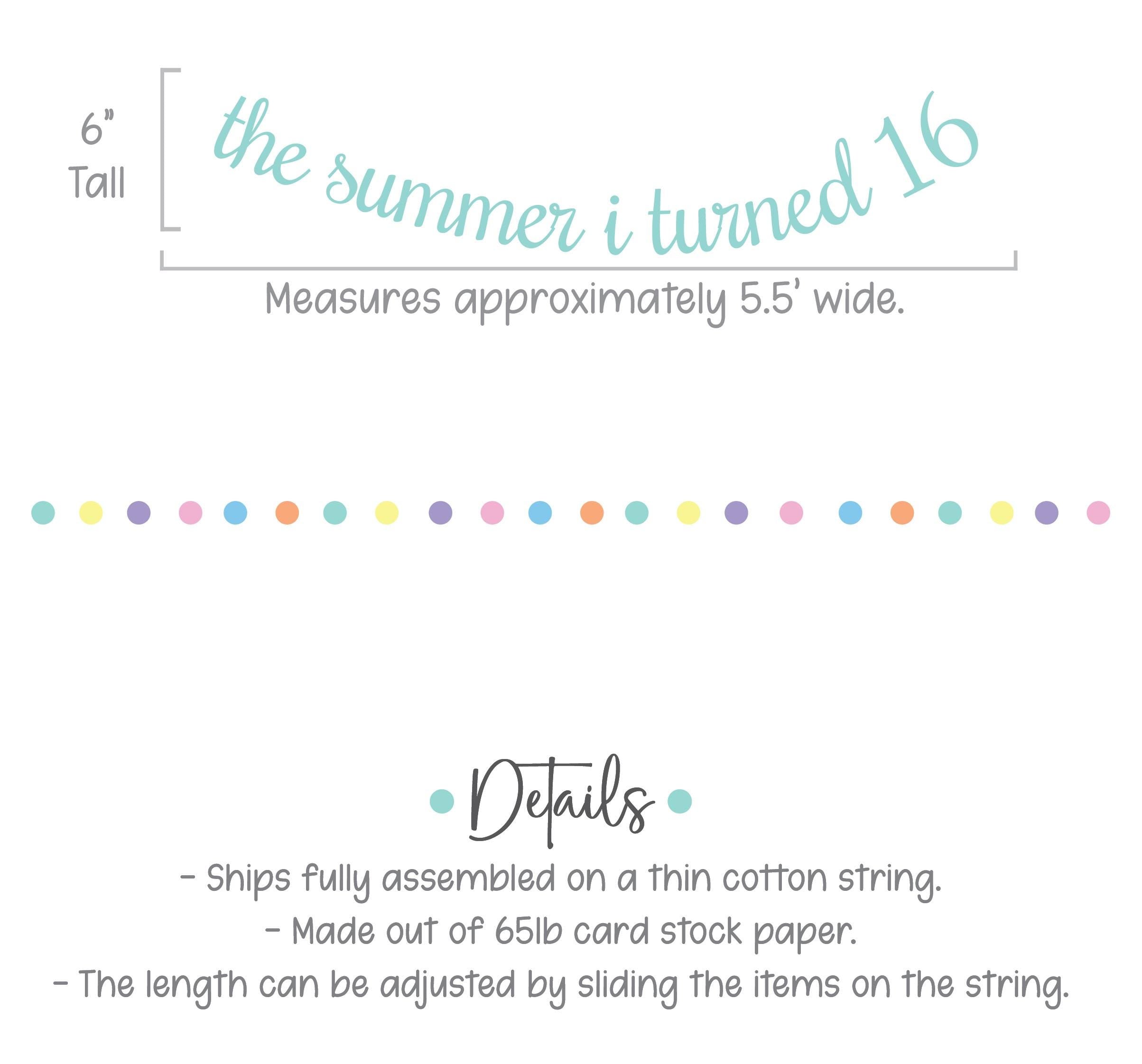 The Summer I Turned 16, 16th Birthday Party, Summertime Birthday Banner, Summer Birthday Decorations, The Summer I Turned 16 Banner