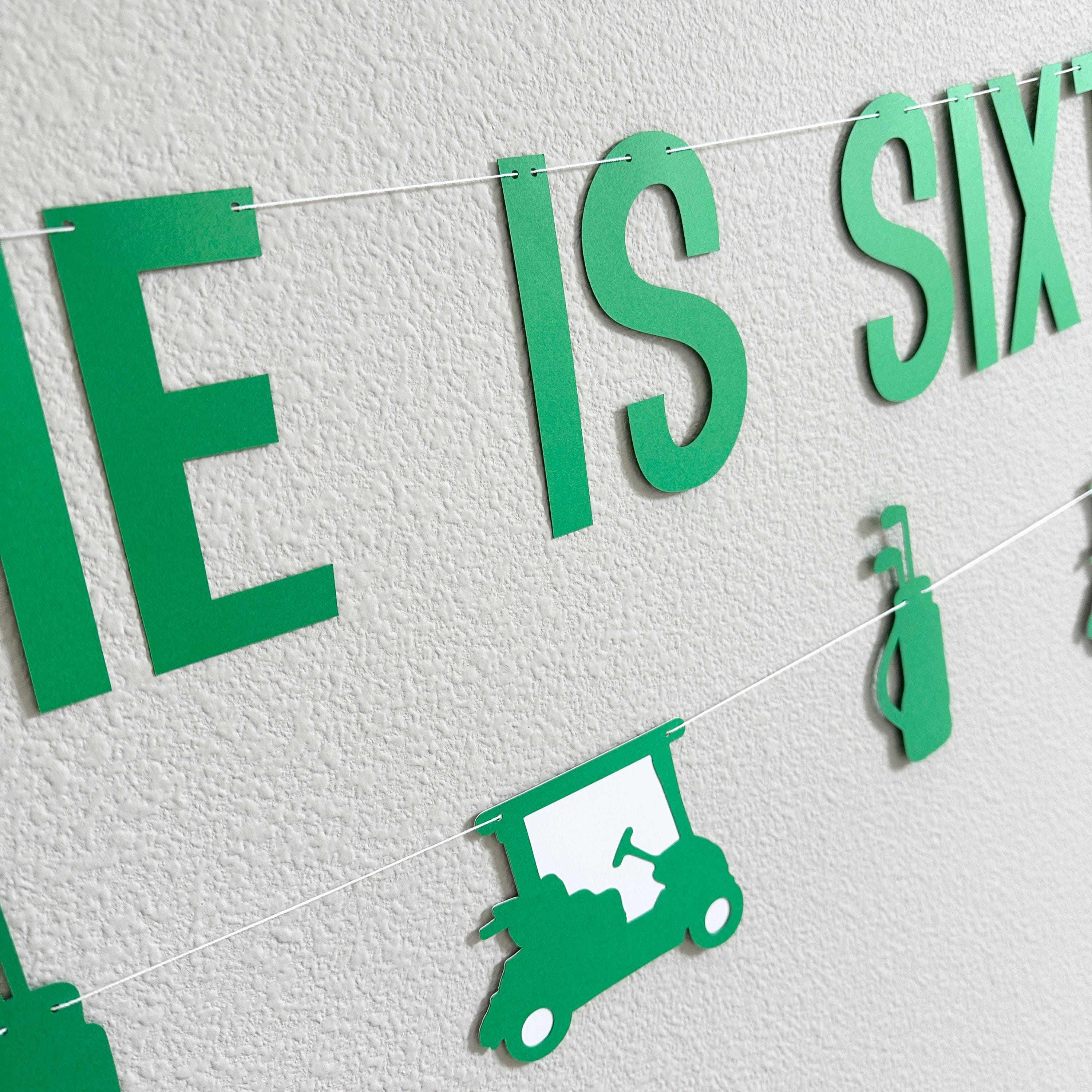 Name Is Sixtee Five, 65th Birthday Banner, Golf Themed Birthday Banner, 65th Birthday Ideas, Men&#39;s 60s Birthday Theme Ideas, Golf Birthday