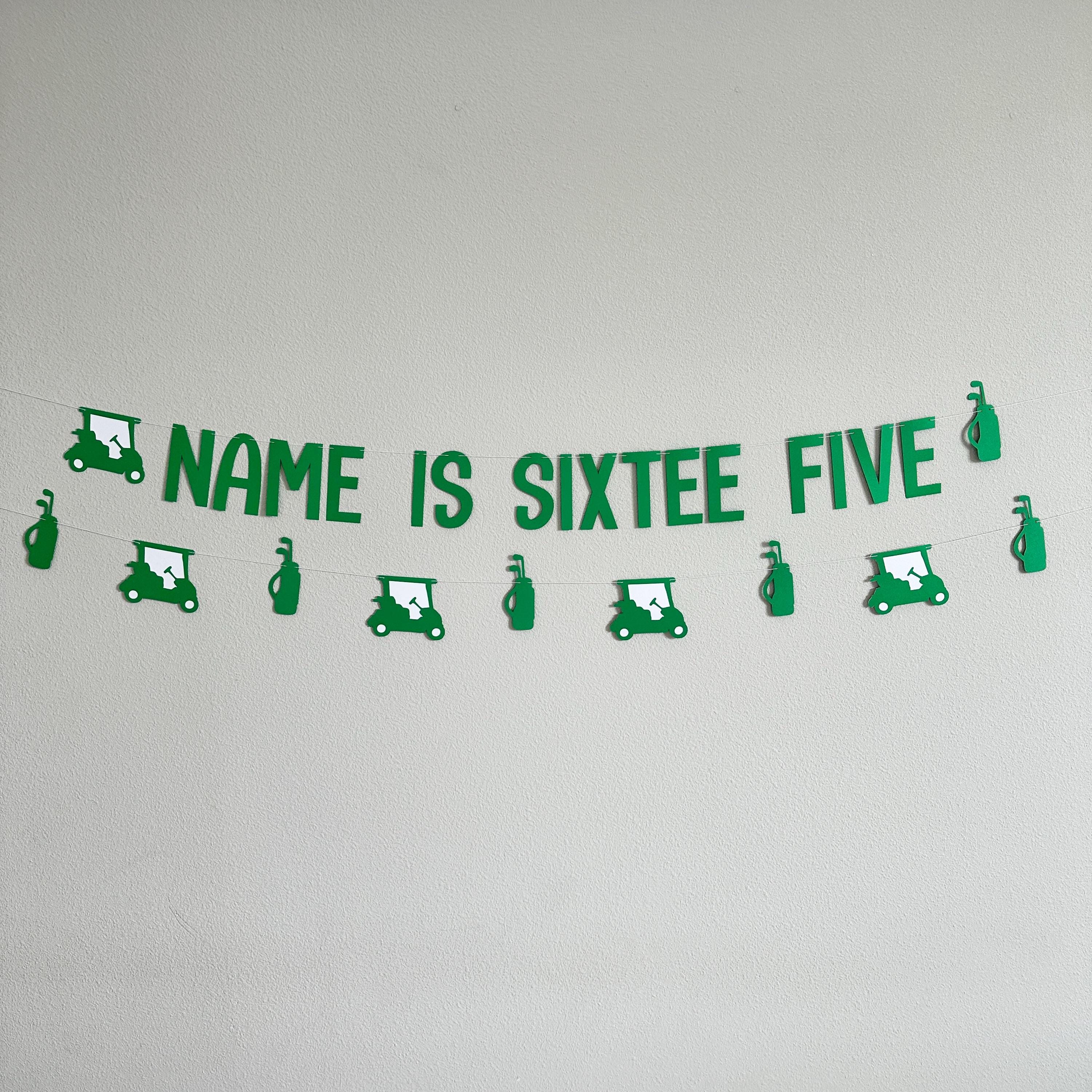 Name Is Sixtee Five, 65th Birthday Banner, Golf Themed Birthday Banner, 65th Birthday Ideas, Men&#39;s 60s Birthday Theme Ideas, Golf Birthday