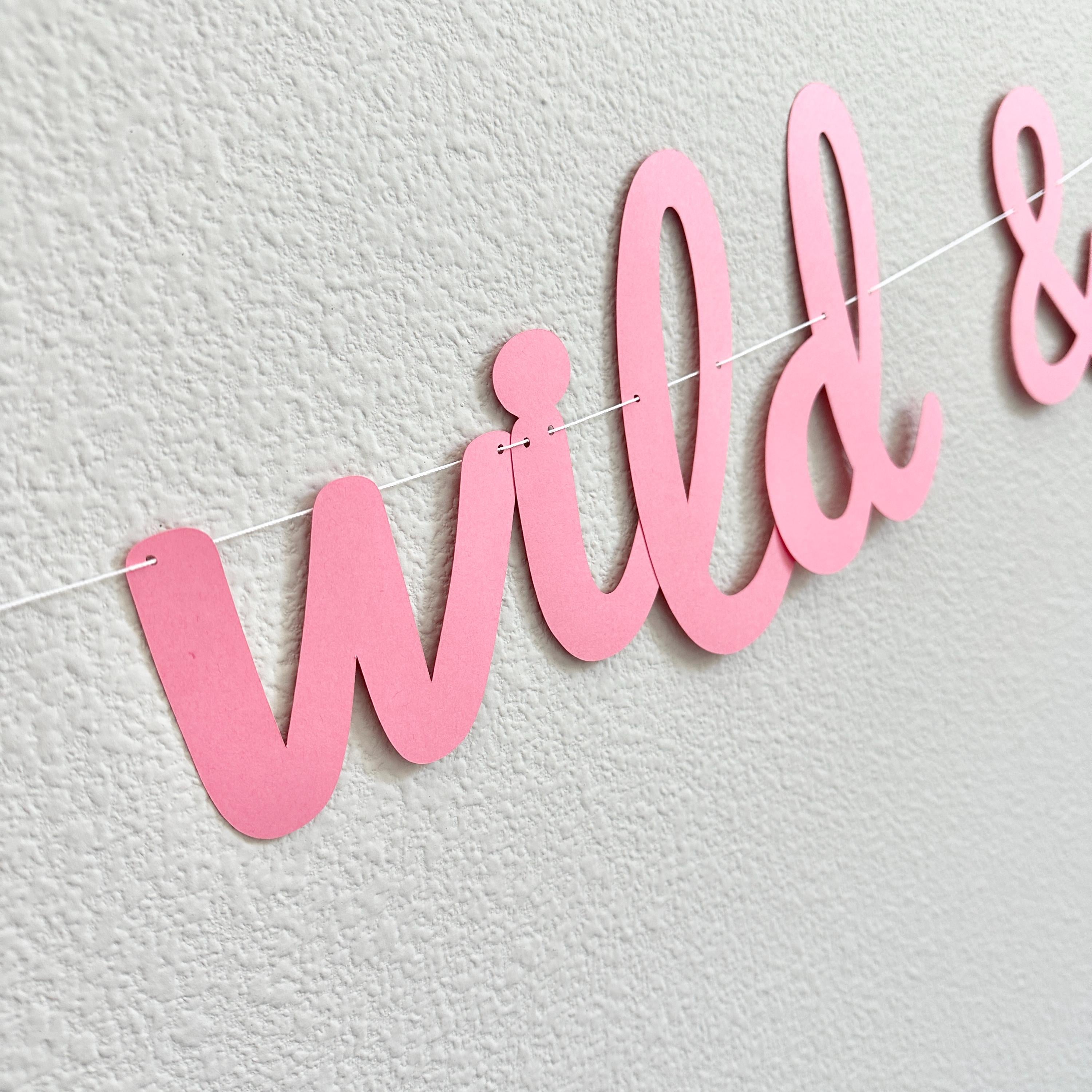 Young Wild & Three, Young Wild and Three Banner, 3rd Birthday Party, 3rd Birthday Banner, 3rd Birthday Party Decor