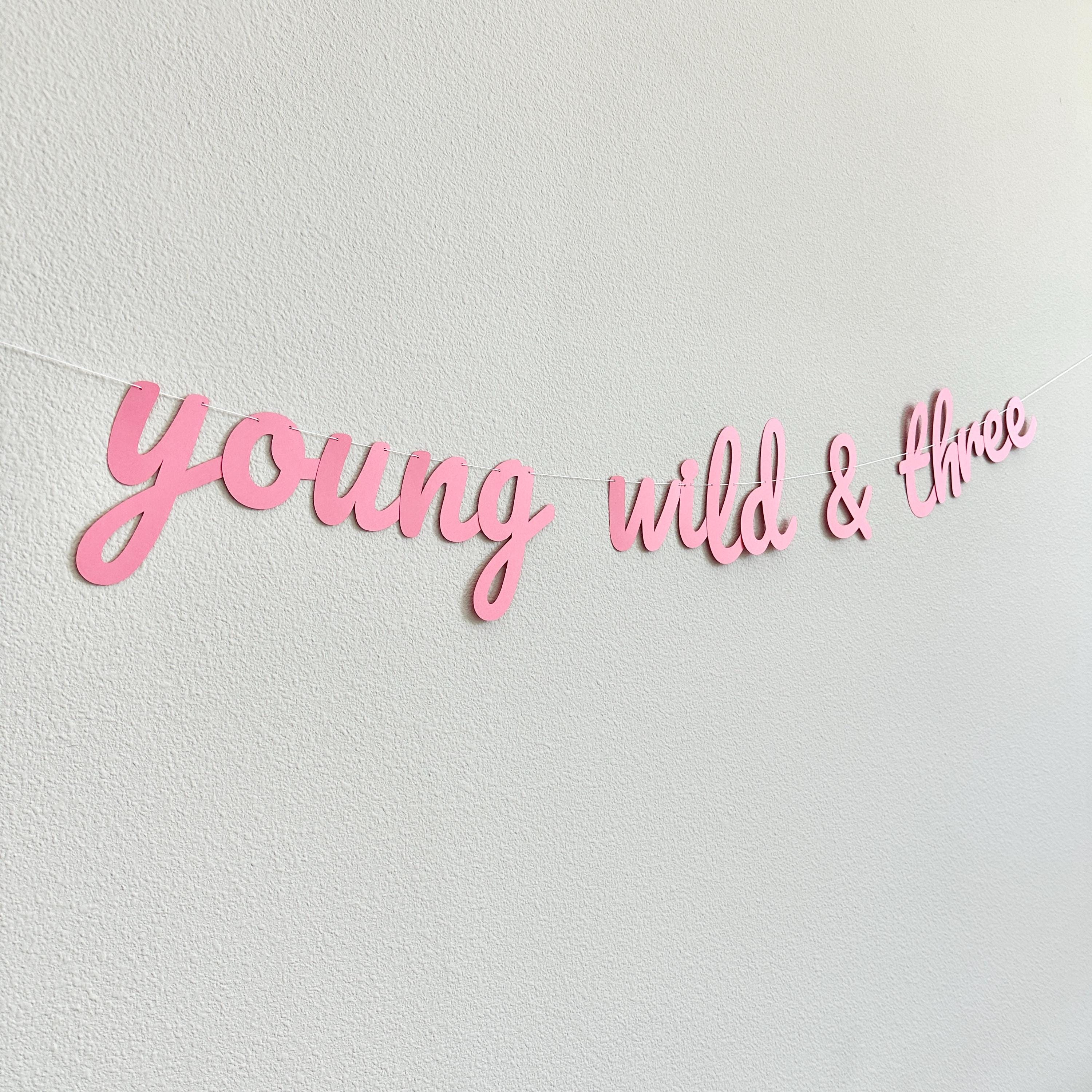 Young Wild & Three, Young Wild and Three Banner, 3rd Birthday Party, 3rd Birthday Banner, 3rd Birthday Party Decor
