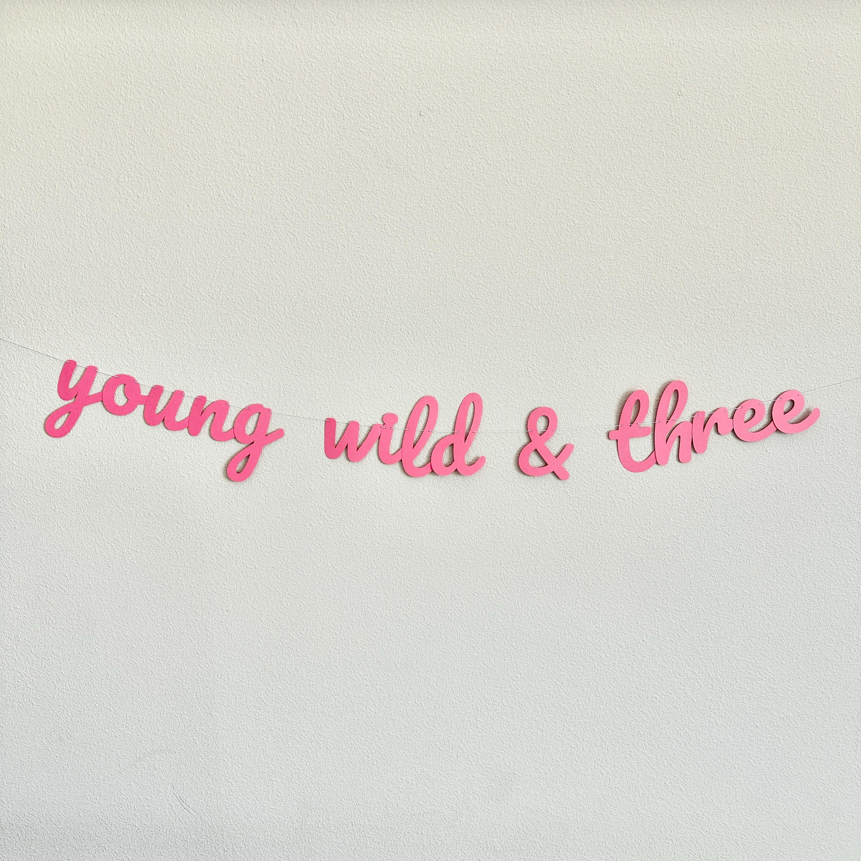 Young Wild & Three, Young Wild and Three Banner, 3rd Birthday Party, 3rd Birthday Banner, 3rd Birthday Party Decor