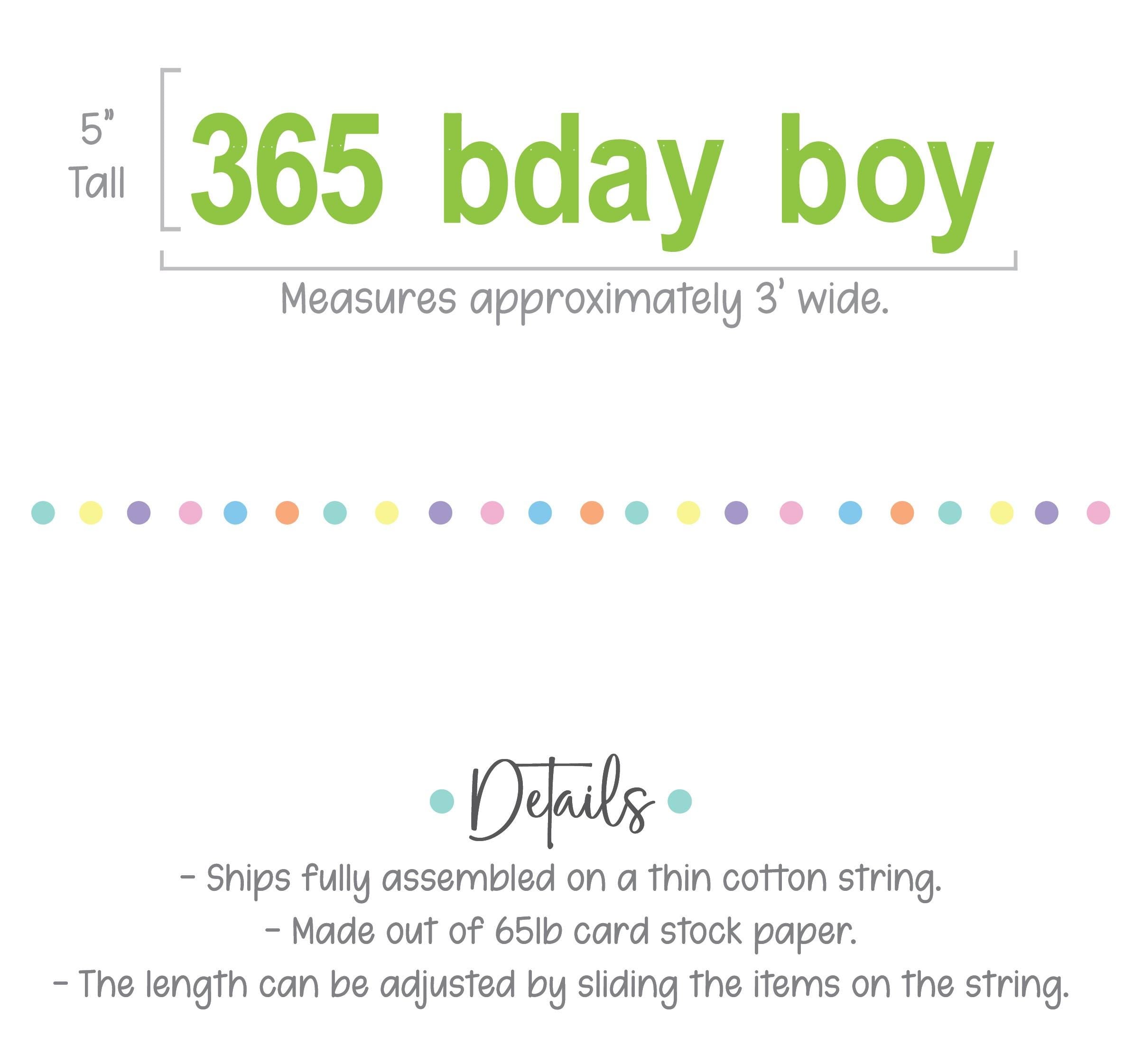 365 Bday Boy, 365 Bday Boy Banner, 365 Bday Boy Decorations, Brat, Brat Decorations, Brat Birthday Party Ideas, Brat Theme