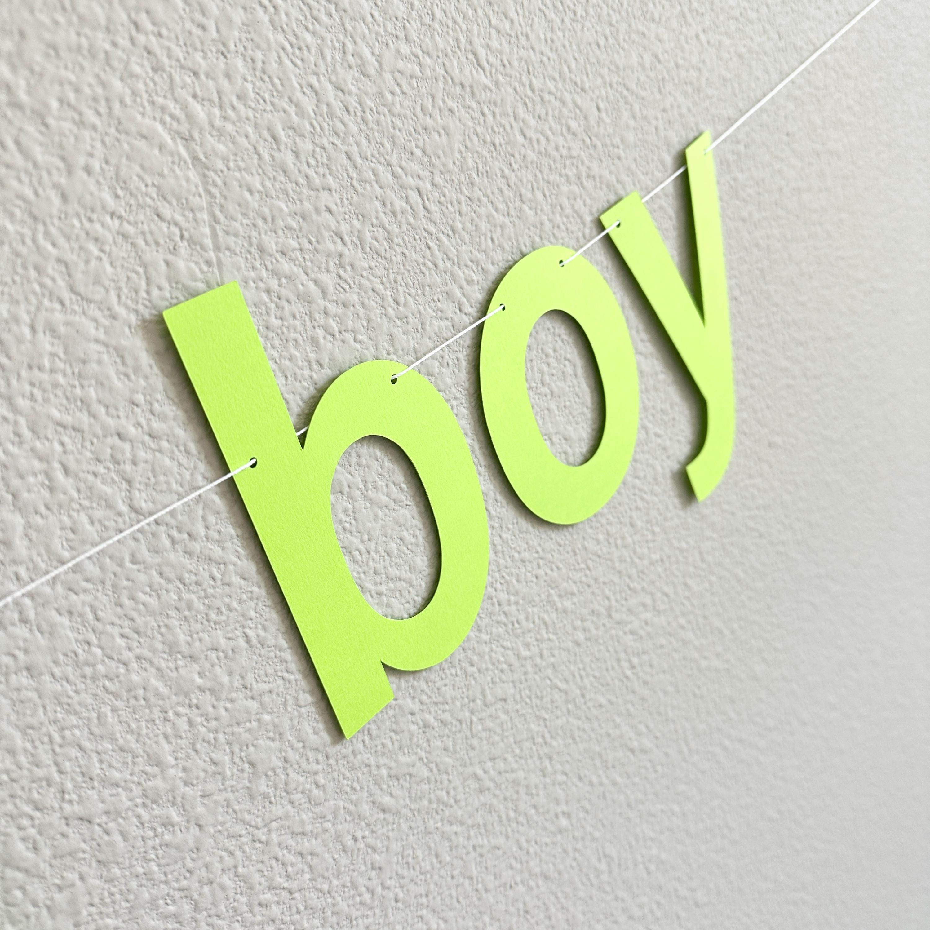 365 Bday Boy, 365 Bday Boy Banner, 365 Bday Boy Decorations, Brat, Brat Decorations, Brat Birthday Party Ideas, Brat Theme