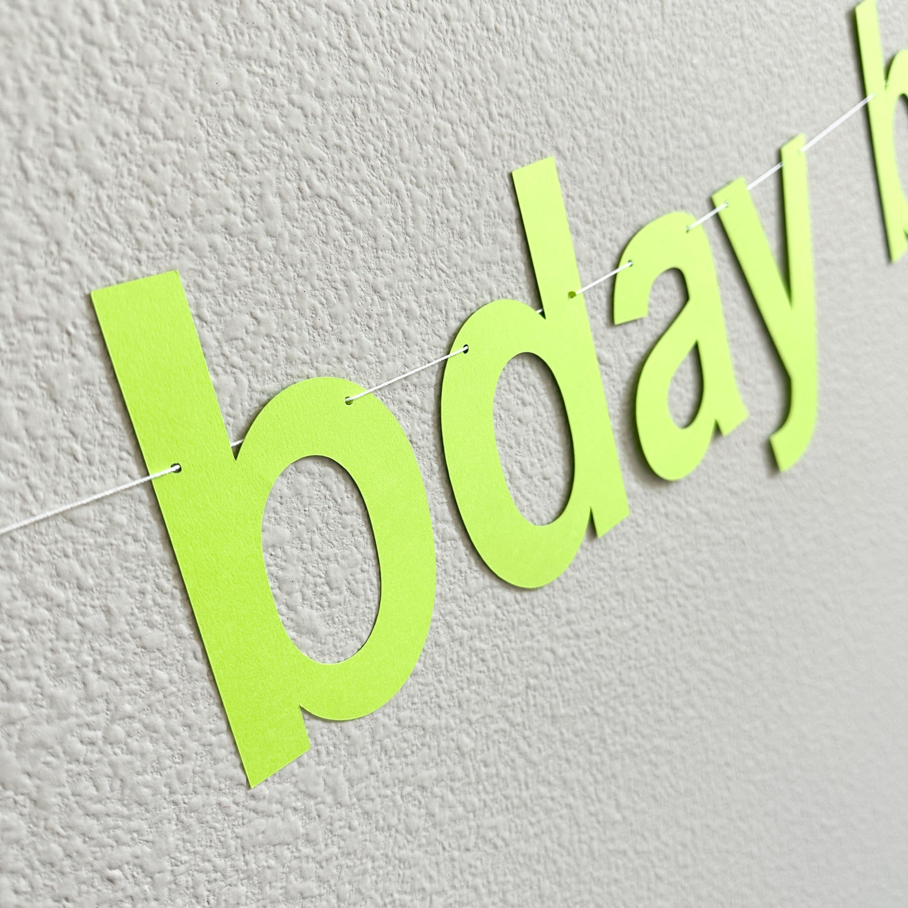 365 Bday Boy, 365 Bday Boy Banner, 365 Bday Boy Decorations, Brat, Brat Decorations, Brat Birthday Party Ideas, Brat Theme