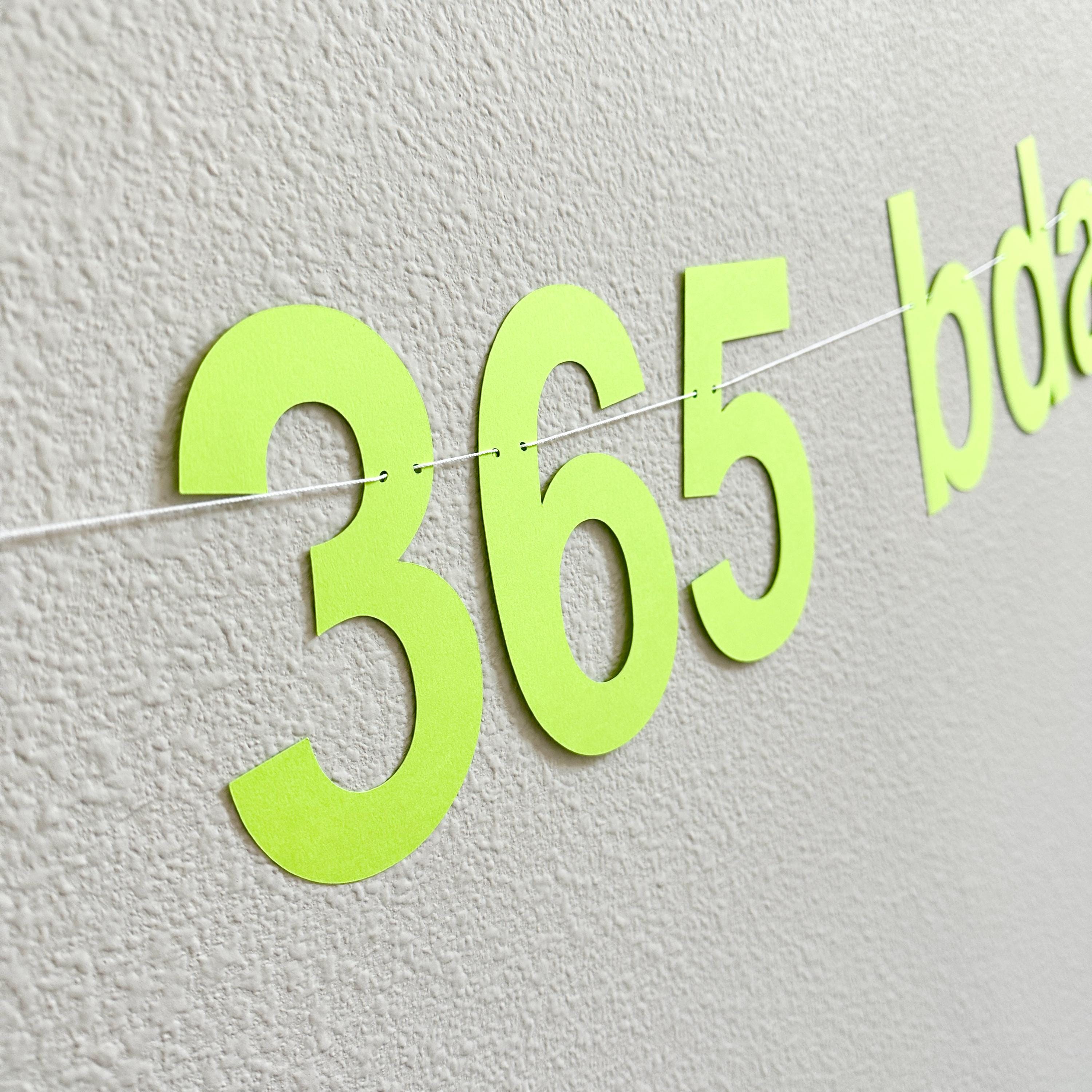 365 Bday Boy, 365 Bday Boy Banner, 365 Bday Boy Decorations, Brat, Brat Decorations, Brat Birthday Party Ideas, Brat Theme