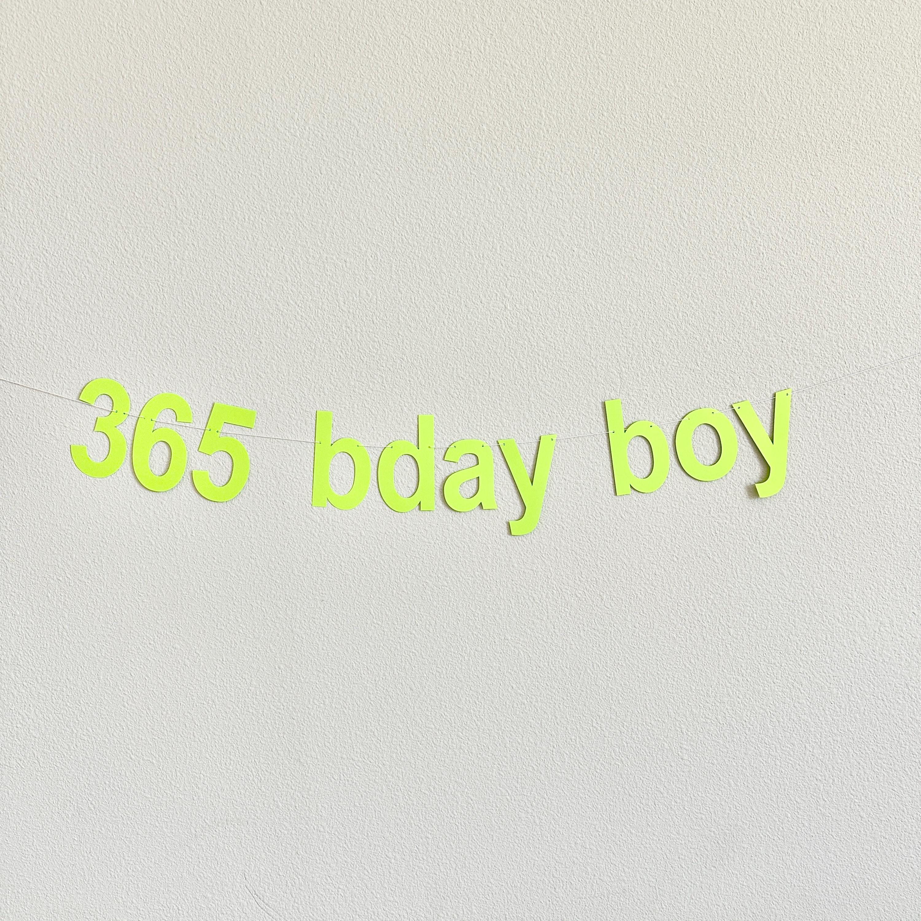 365 Bday Boy, 365 Bday Boy Banner, 365 Bday Boy Decorations, Brat, Brat Decorations, Brat Birthday Party Ideas, Brat Theme