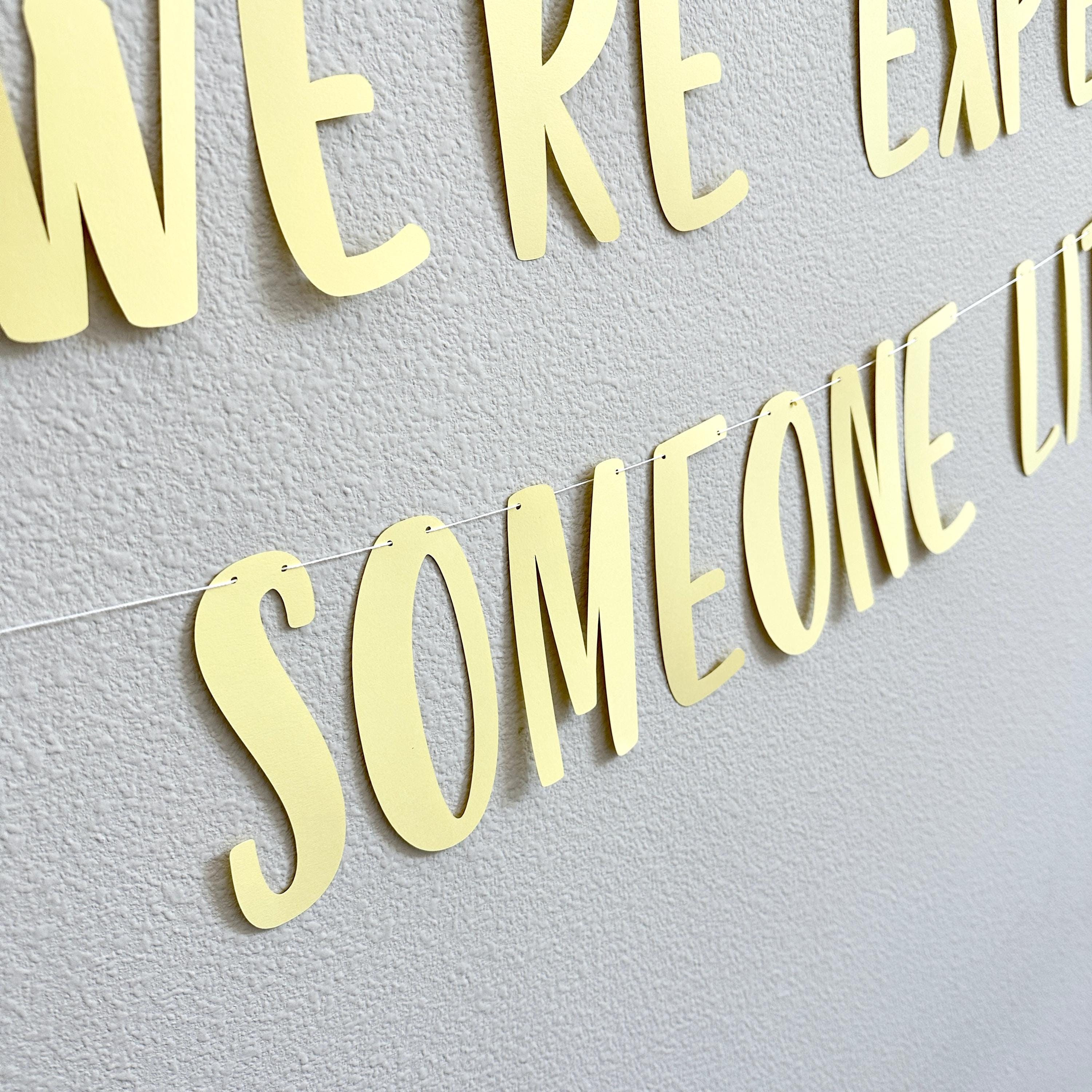 Hey Diddle Diddle We&#39;re Expecting Someone Little, Pregnancy Announcement Ideas, Baby Shower Decorations, Nursery Themed Baby Shower