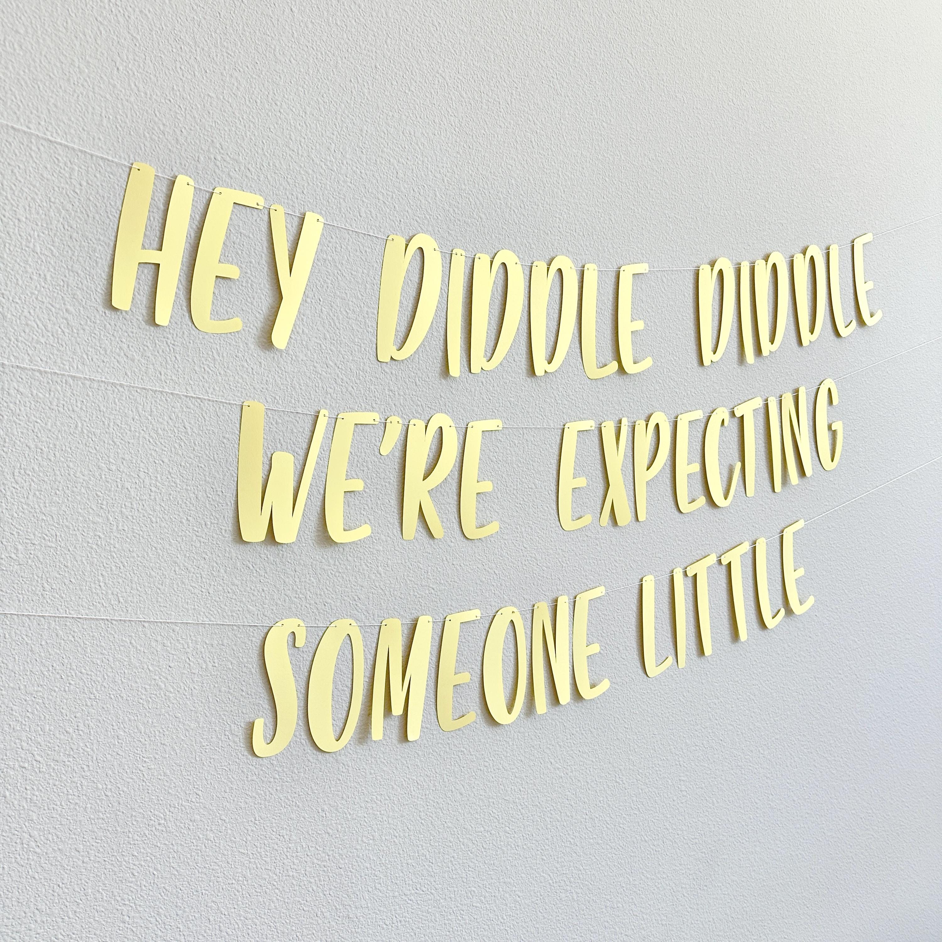 Hey Diddle Diddle We&#39;re Expecting Someone Little, Pregnancy Announcement Ideas, Baby Shower Decorations, Nursery Themed Baby Shower