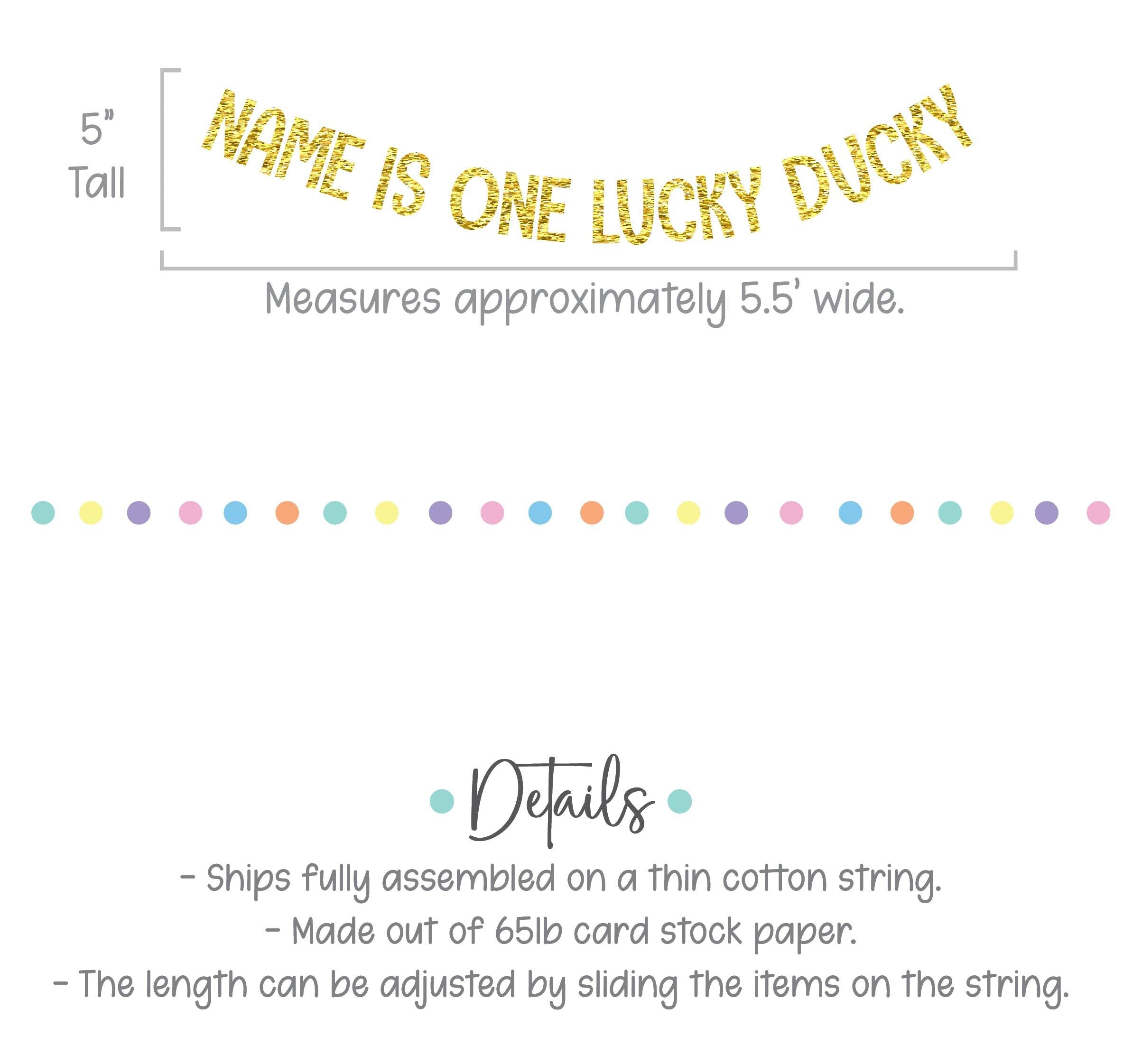 Name Is One Lucky Ducky, 1st Birthday Duck Theme, Lucky Ducky Birthday Banner, 1st Birthday Ideas, Rubber Duck 1st Birthday Banner