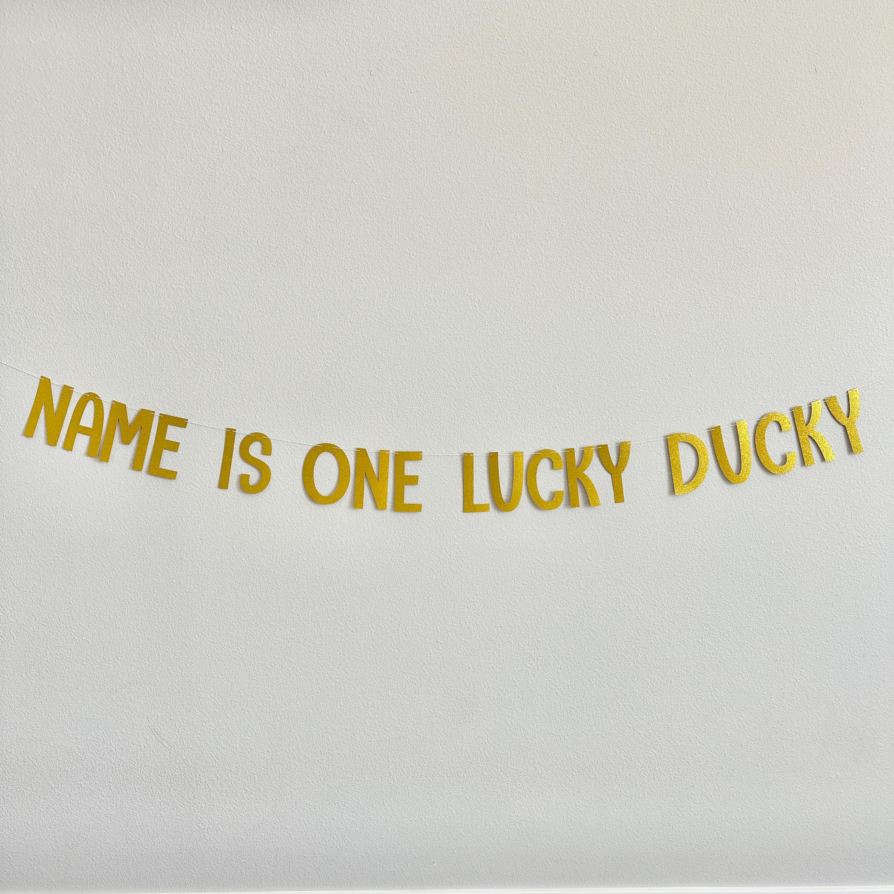 Name Is One Lucky Ducky, 1st Birthday Duck Theme, Lucky Ducky Birthday Banner, 1st Birthday Ideas, Rubber Duck 1st Birthday Banner