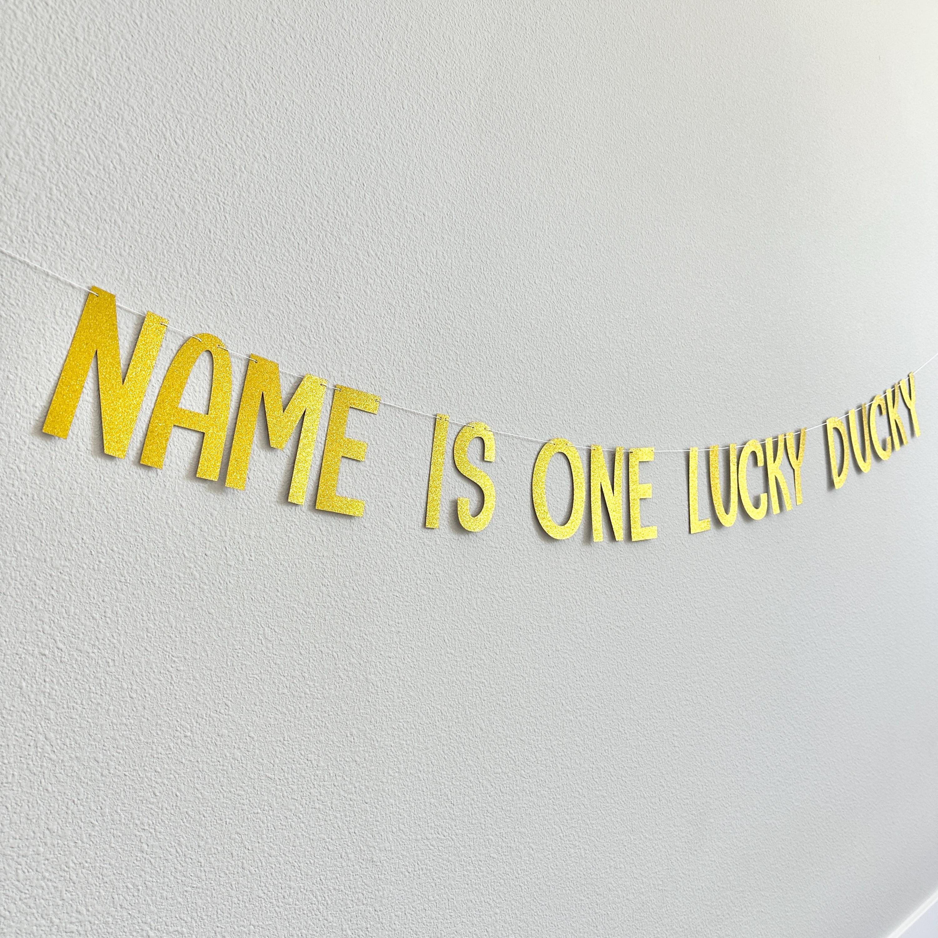 Name Is One Lucky Ducky, 1st Birthday Duck Theme, Lucky Ducky Birthday Banner, 1st Birthday Ideas, Rubber Duck 1st Birthday Banner