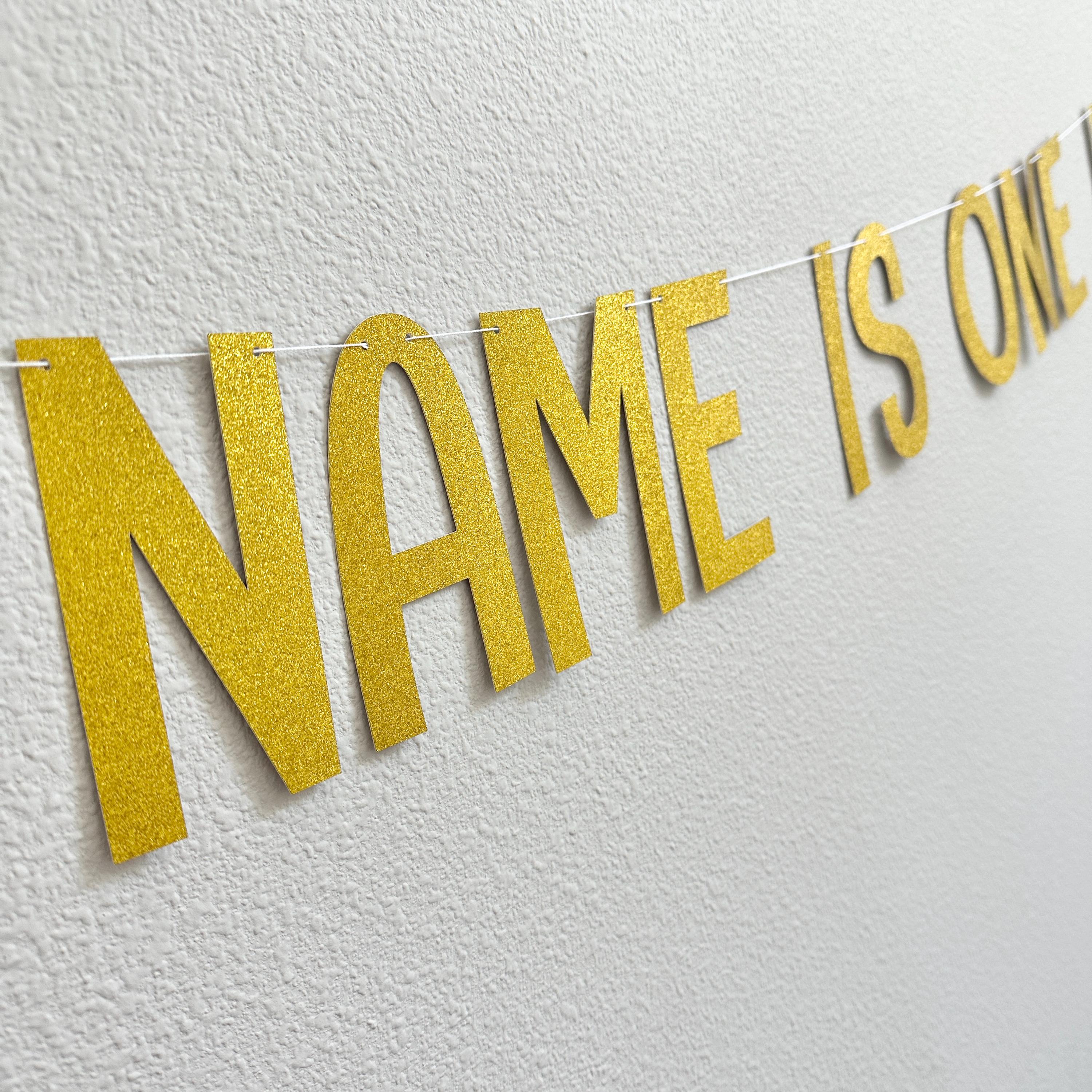 Name Is One Lucky Ducky, 1st Birthday Duck Theme, Lucky Ducky Birthday Banner, 1st Birthday Ideas, Rubber Duck 1st Birthday Banner