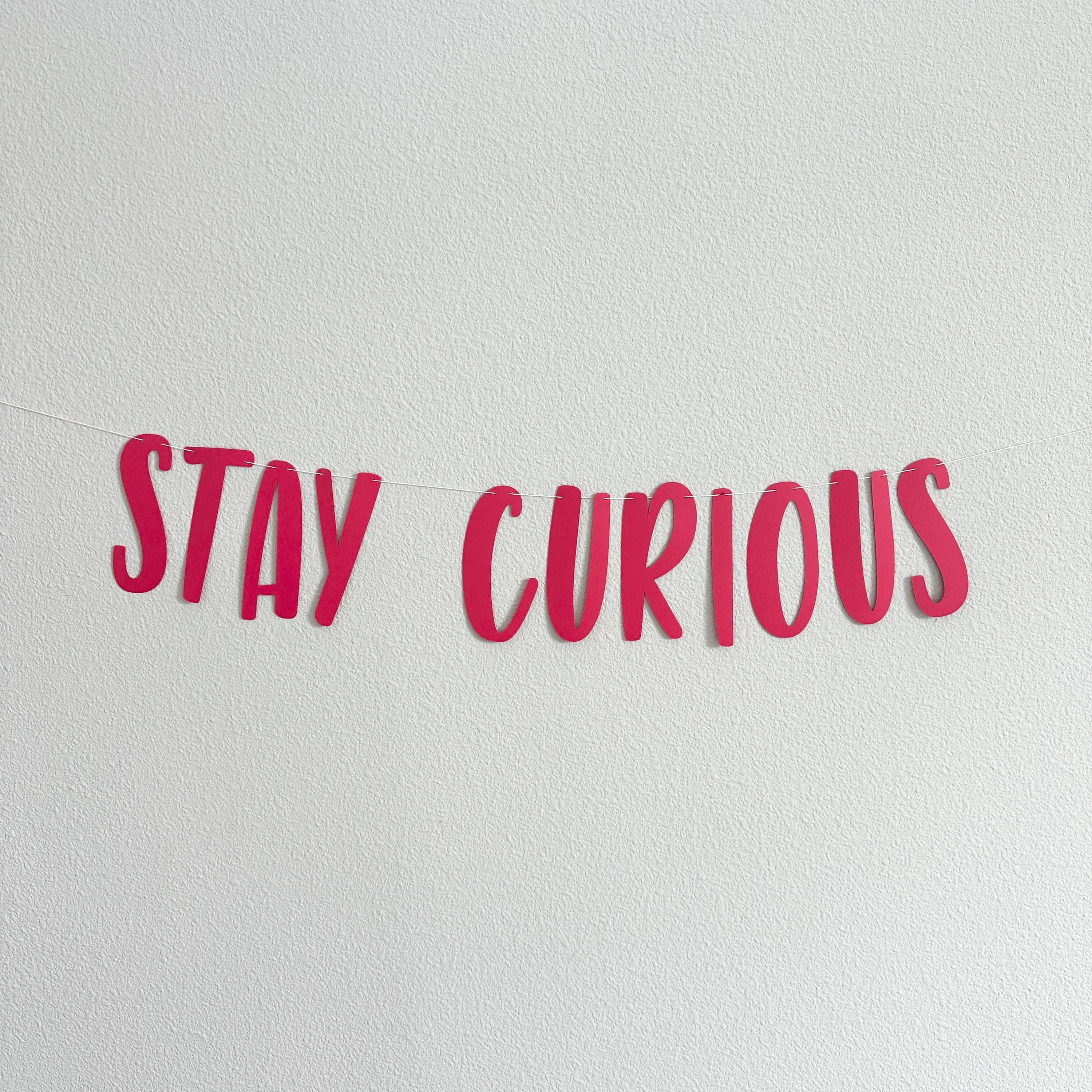 Stay Curious, Curious Banner, Curious Party, Curious Birthday Decorations, Stay Curious Banner, Stay Curious Party Decoration
