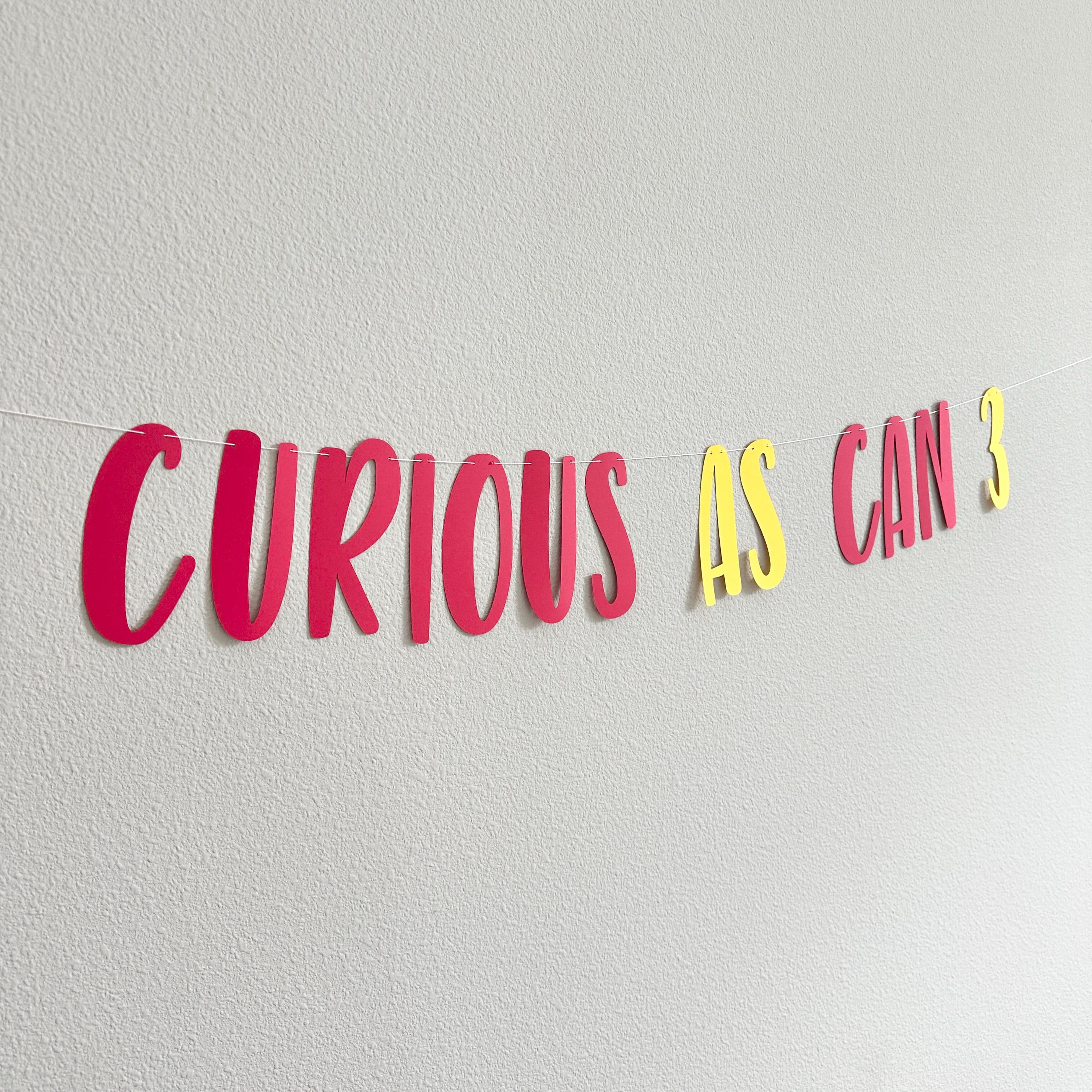 Curious As Can 3, 3rd Birthday Party Decorations, 3rd Birthday Banner, Curious Theme 3rd Birthday Decorations