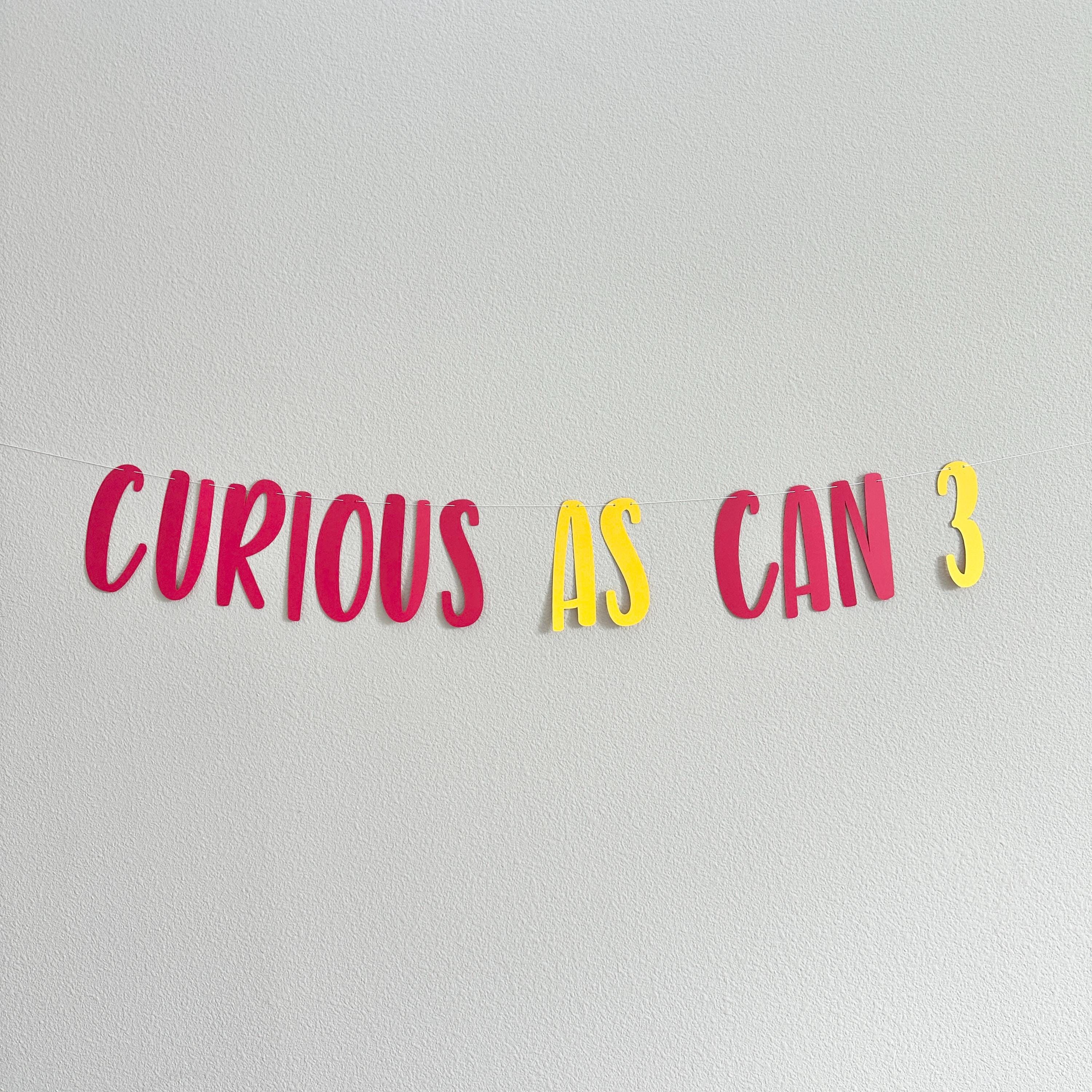 Curious As Can 3, 3rd Birthday Party Decorations, 3rd Birthday Banner, Curious Theme 3rd Birthday Decorations