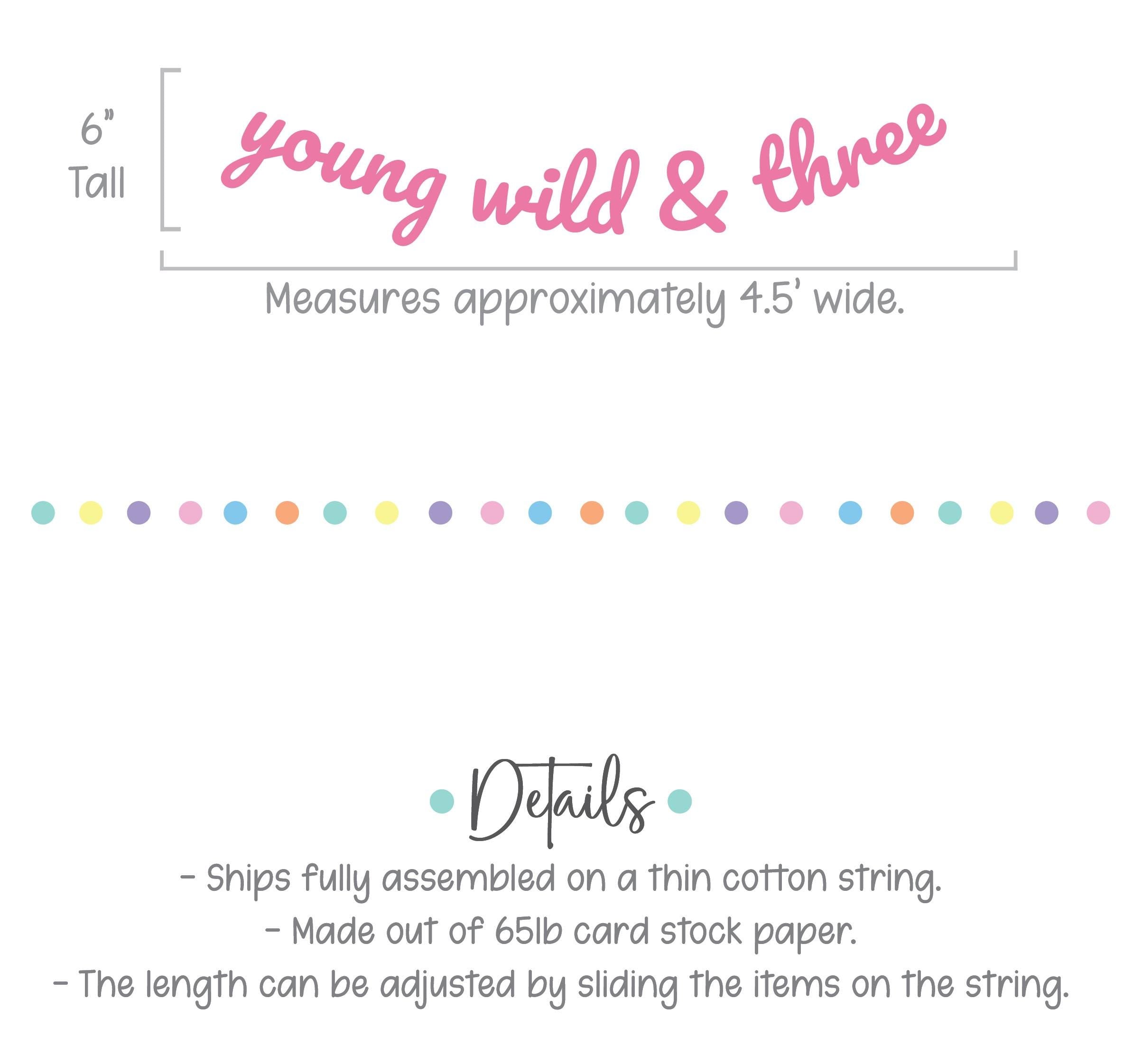 Young Wild & Three, Young Wild and Three Banner, 3rd Birthday Party, 3rd Birthday Banner, 3rd Birthday Party Decor