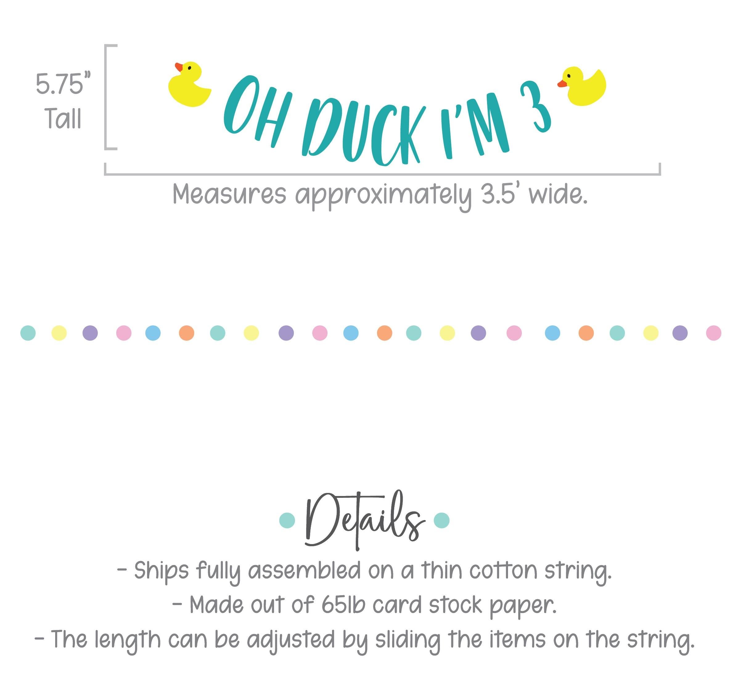 Oh Duck I&#39;m 3, Rubber Duck Themed 3rd Birthday Decorations, 3rd Birthday Party Ideas, Oh Duck Birthday, Duck Birthday Banner
