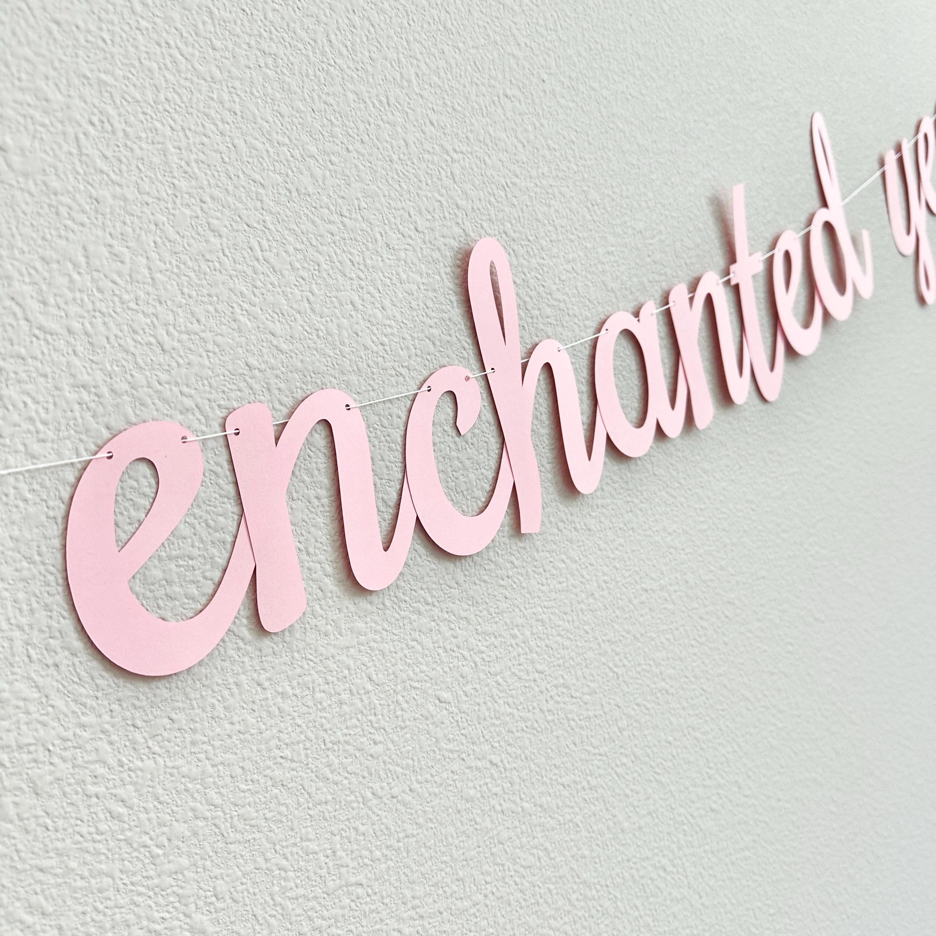 One Enchanted Year, 1st Birthday Ideas, Enchanted Birthday Decorations, One Enchanted Year Birthday Banner, 1st Birthday Party