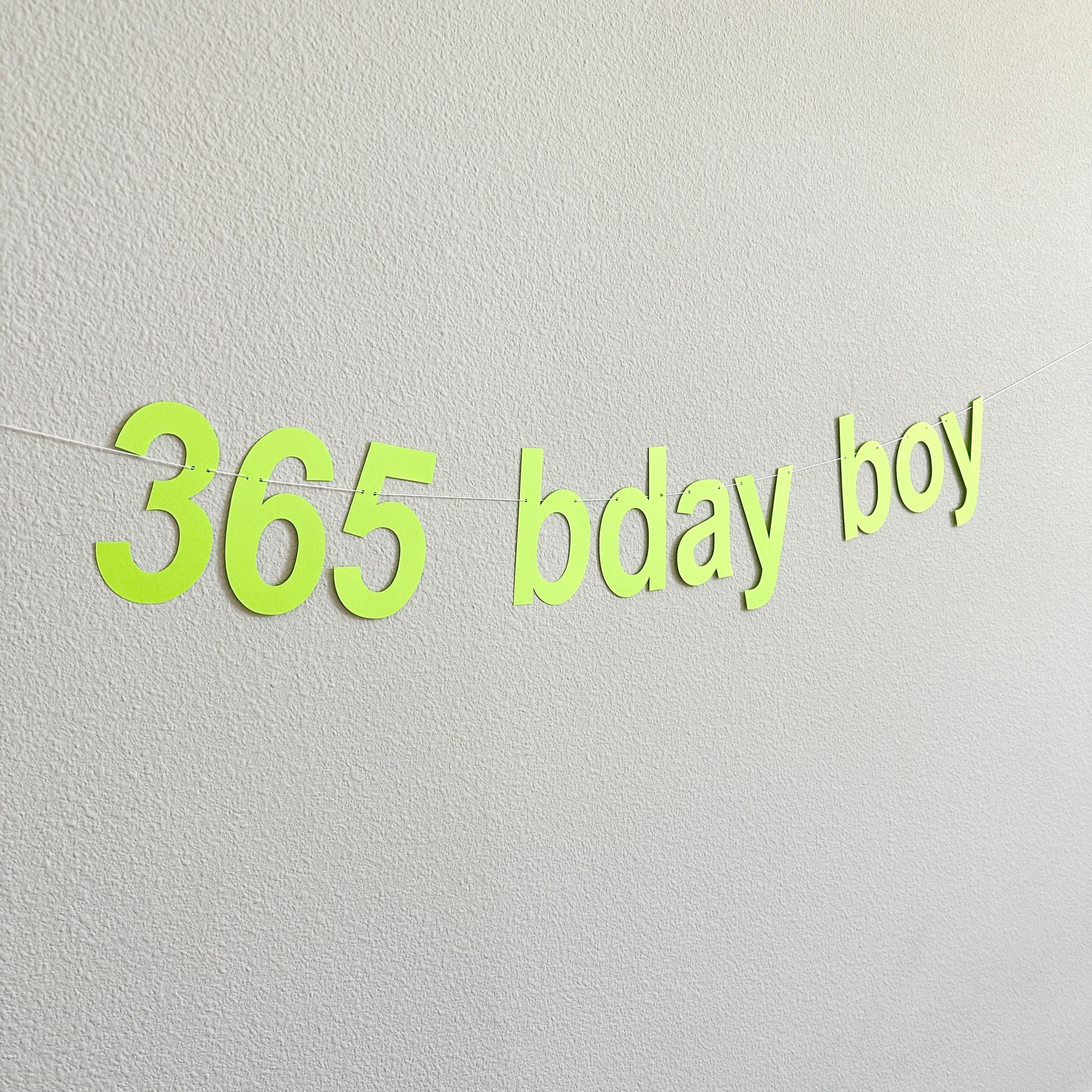 365 Bday Boy, 365 Bday Boy Banner, 365 Bday Boy Decorations, Brat, Brat Decorations, Brat Birthday Party Ideas, Brat Theme