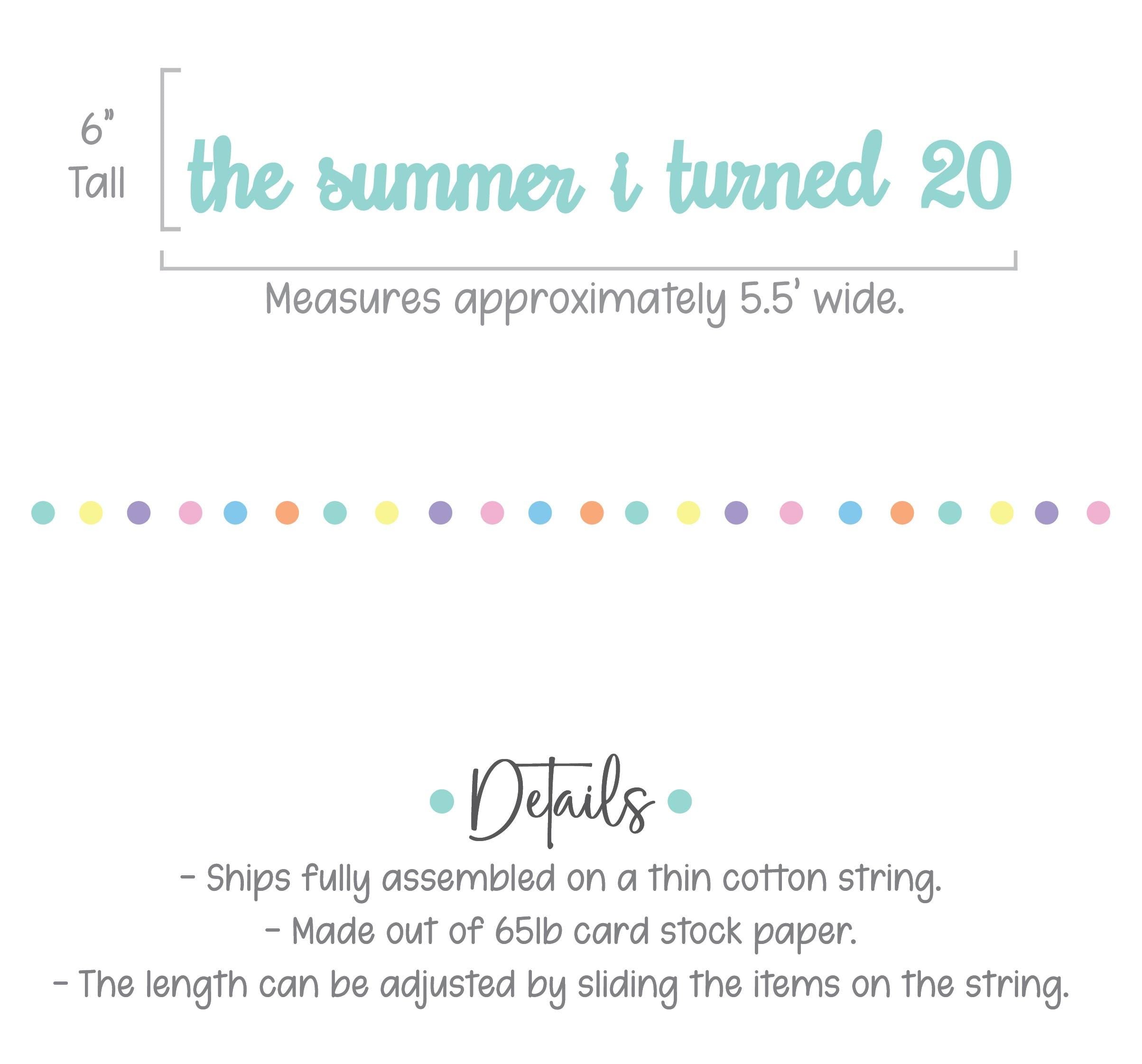The Summer I Turned 20, 20th Birthday Party, Summertime Birthday Banner, Summer Birthday Decorations, The Summer I Turned 20 Banner