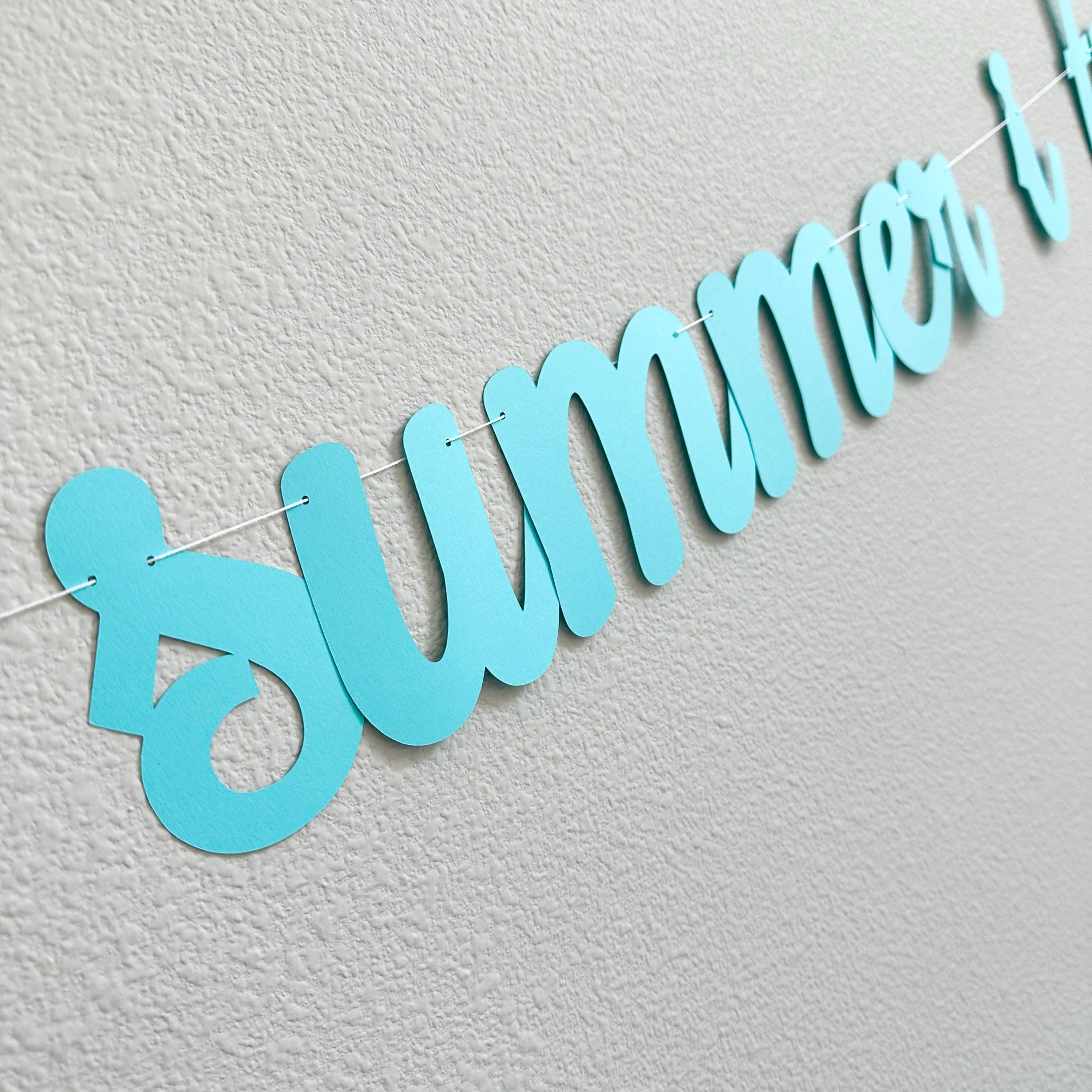 The Summer I Turned 20, 20th Birthday Party, Summertime Birthday Banner, Summer Birthday Decorations, The Summer I Turned 20 Banner