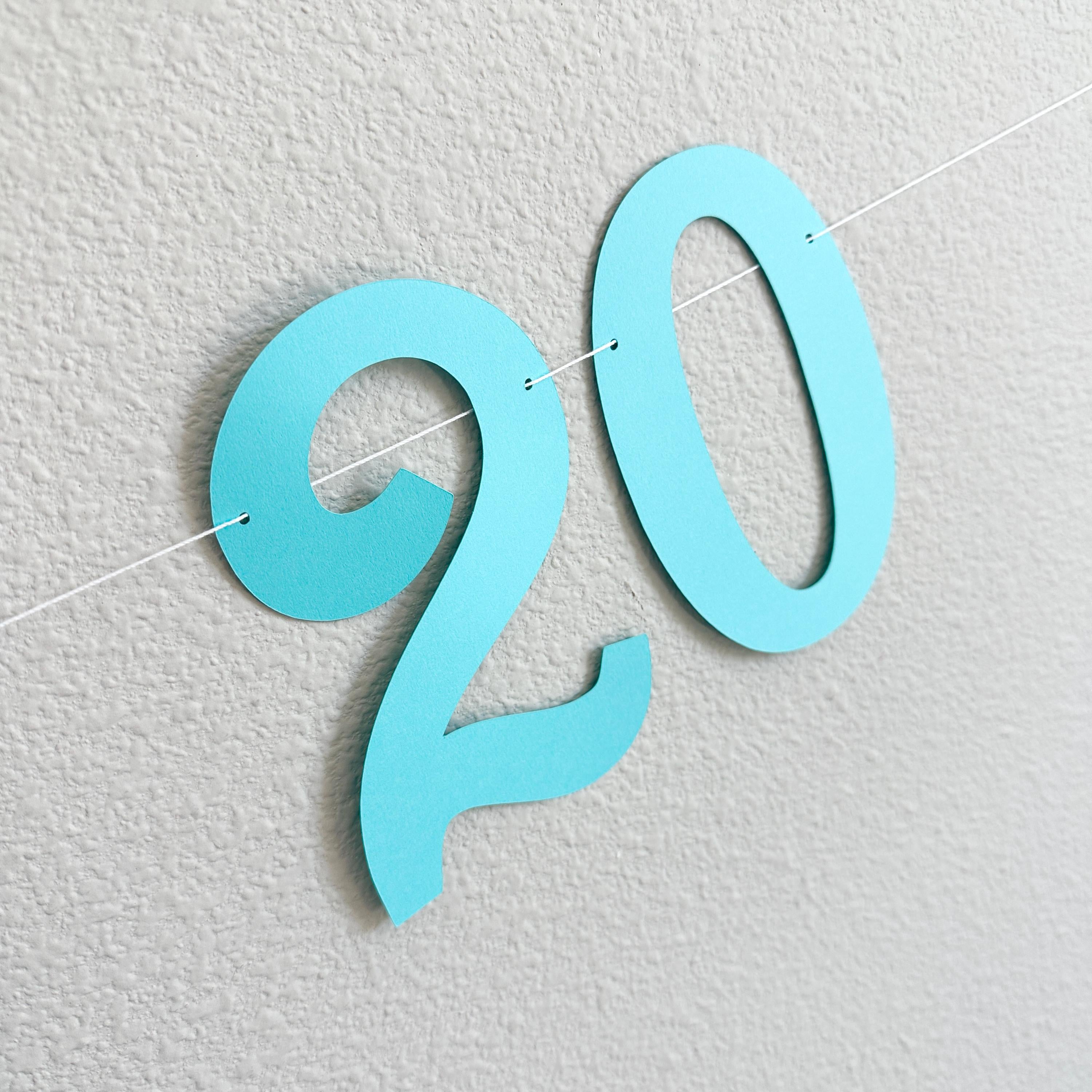 The Summer I Turned 20, 20th Birthday Party, Summertime Birthday Banner, Summer Birthday Decorations, The Summer I Turned 20 Banner