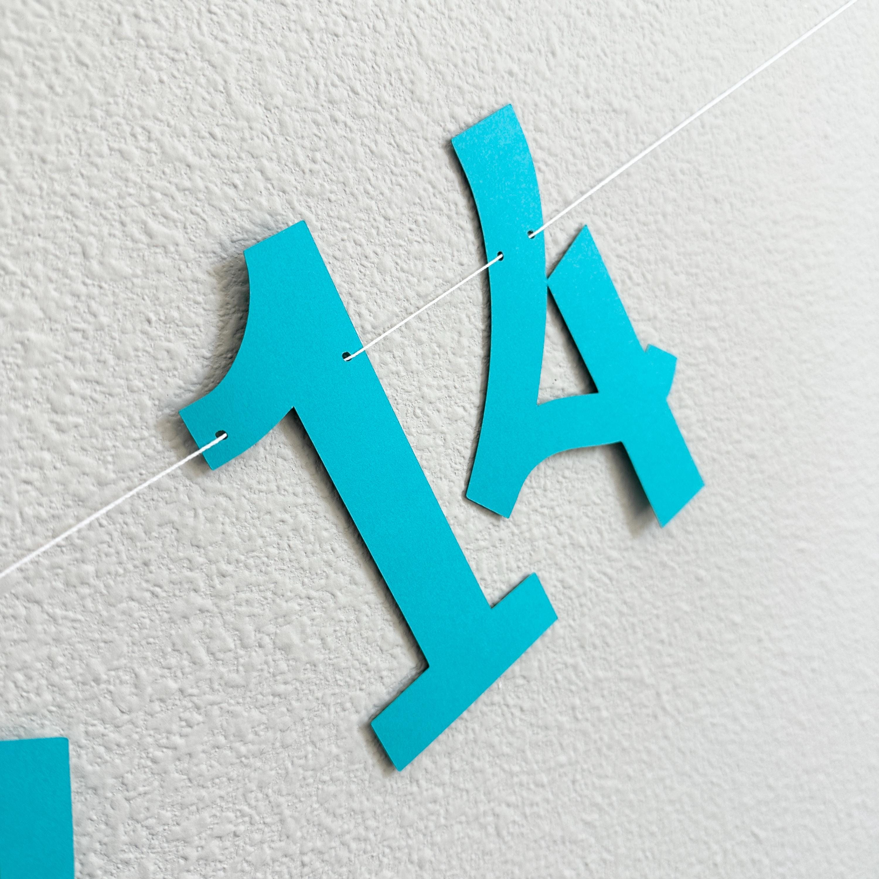 The Summer I Turned 14, 14th Birthday Party, Summertime Birthday Banner, Summer Birthday Decorations, The Summer I Turned 14 Banner