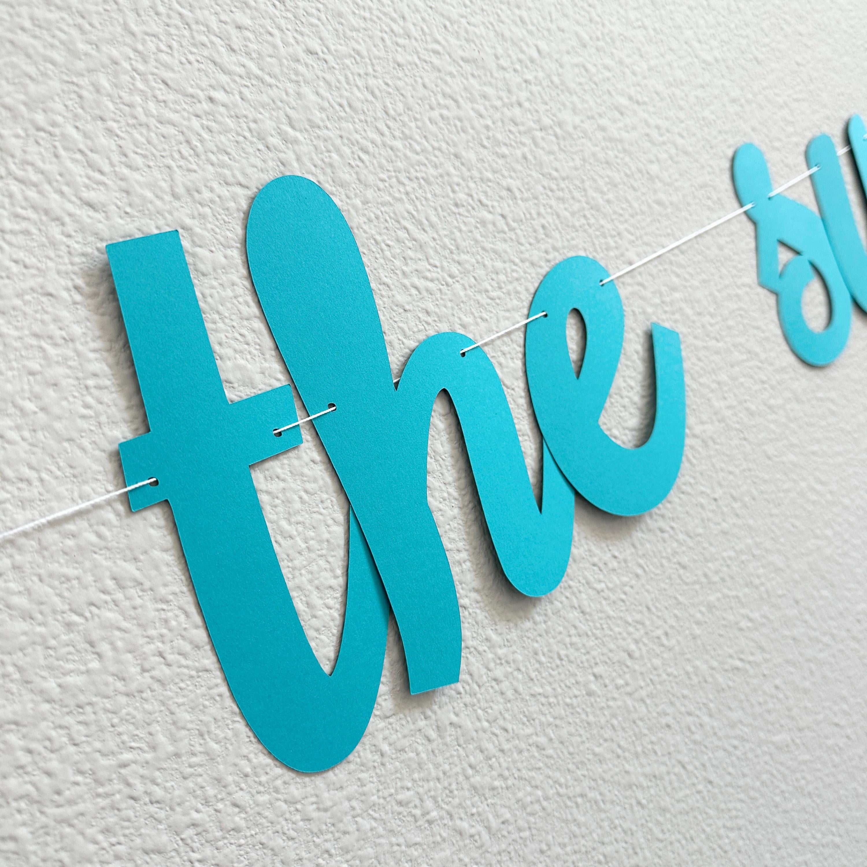 The Summer I Turned 14, 14th Birthday Party, Summertime Birthday Banner, Summer Birthday Decorations, The Summer I Turned 14 Banner