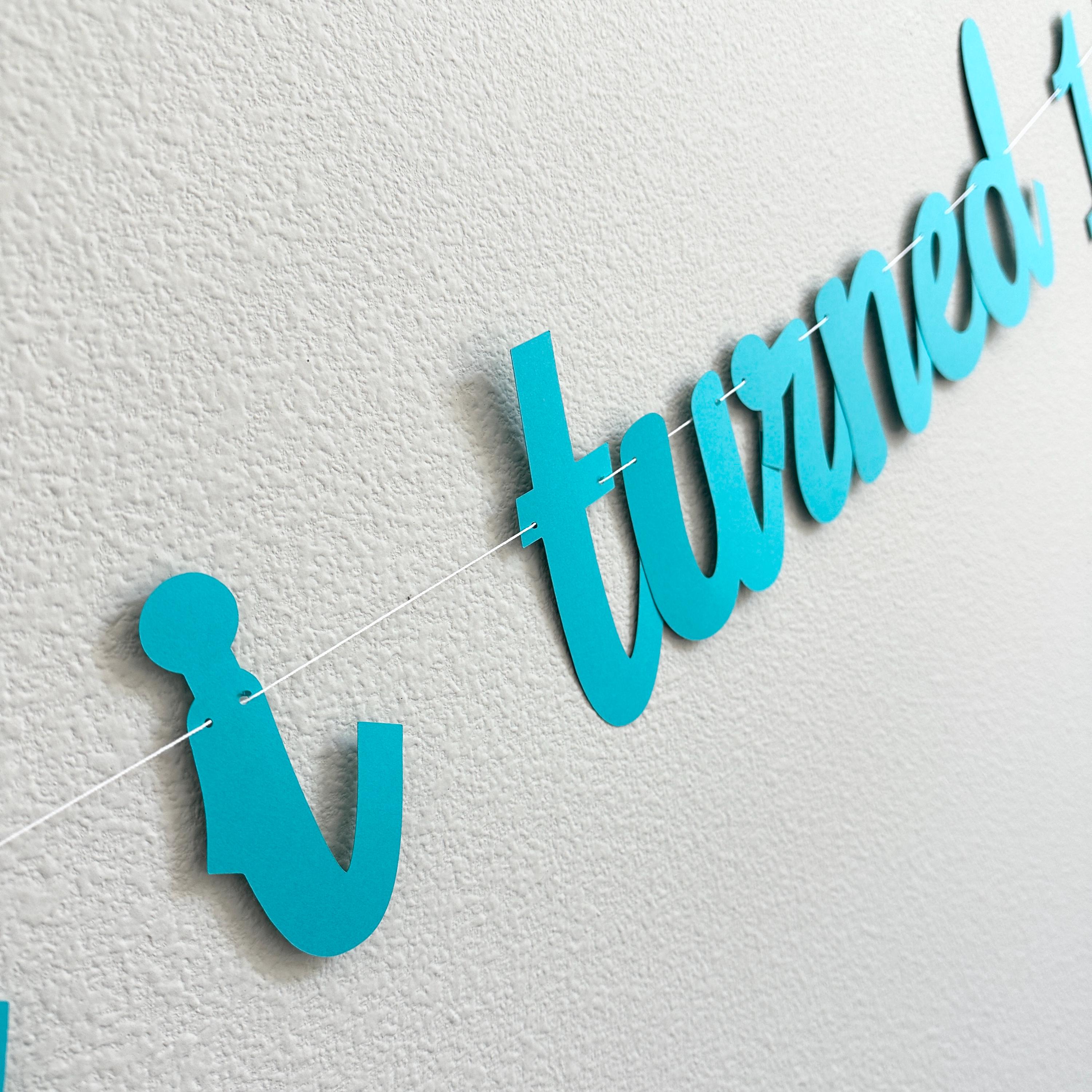 The Summer I Turned 14, 14th Birthday Party, Summertime Birthday Banner, Summer Birthday Decorations, The Summer I Turned 14 Banner