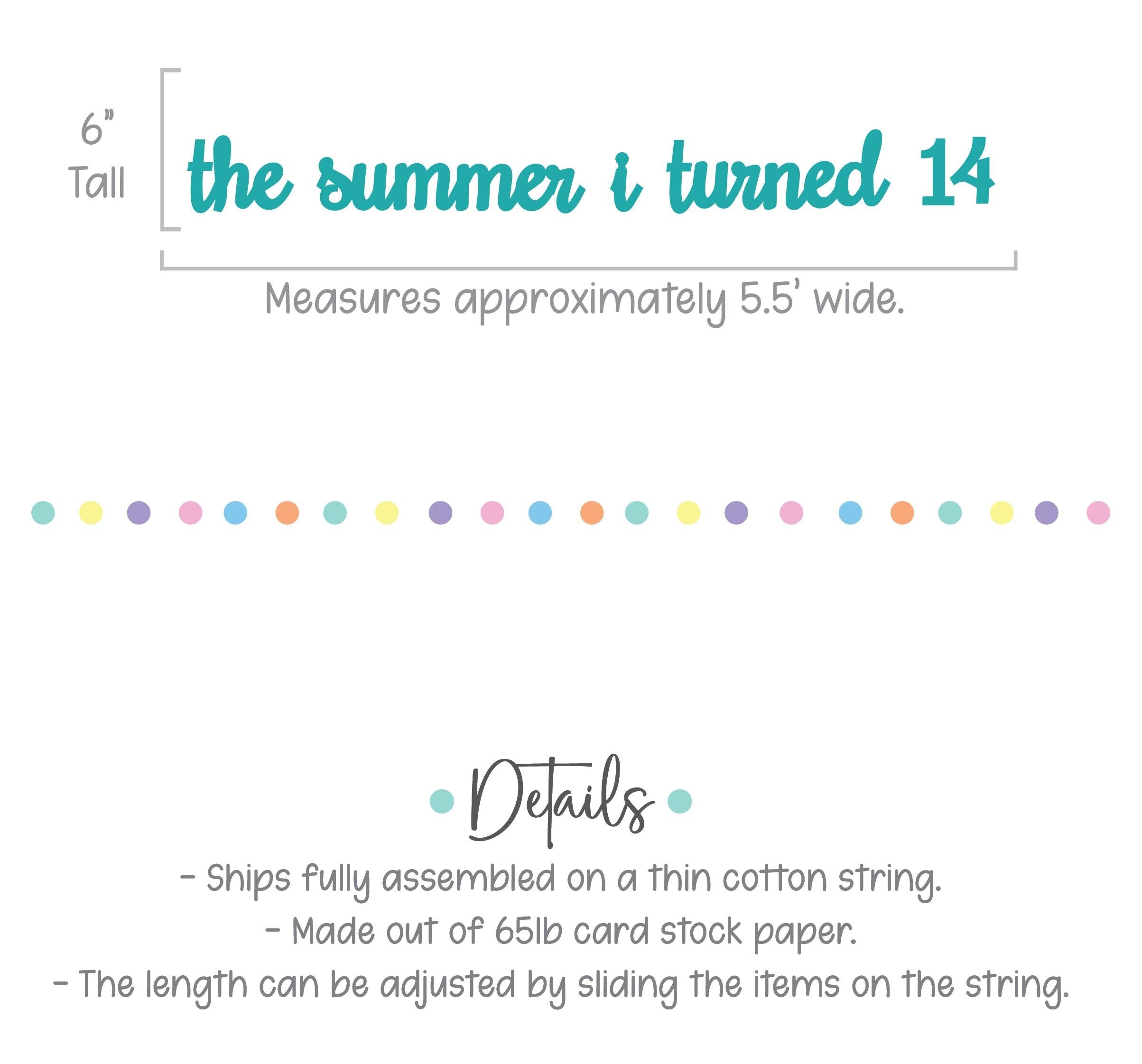 The Summer I Turned 14, 14th Birthday Party, Summertime Birthday Banner, Summer Birthday Decorations, The Summer I Turned 14 Banner