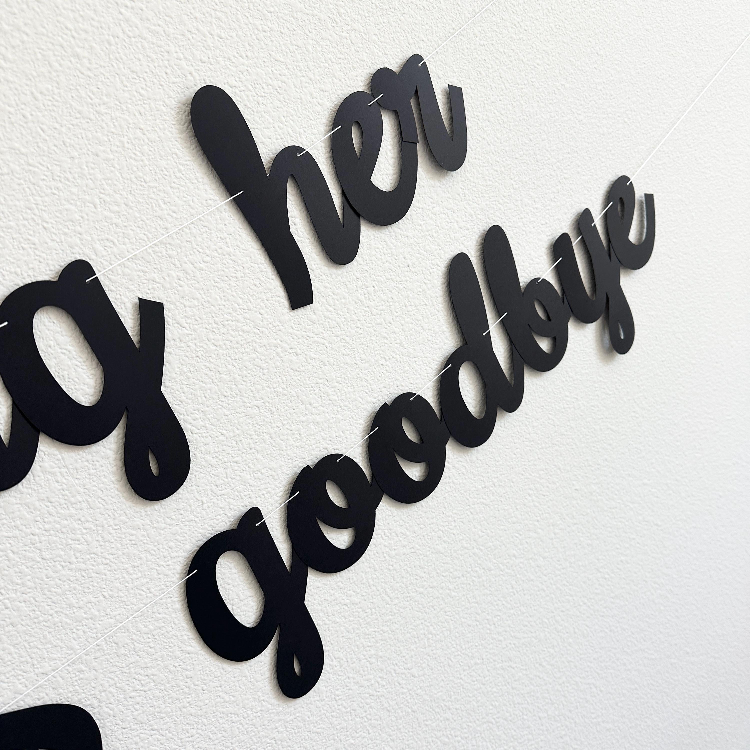 Kissing Her Twenties Goodbye, 30th Birthday Party Decorations, 30th Birthday, 30th Birthday Banner, 30th Birthday Theme Ideas