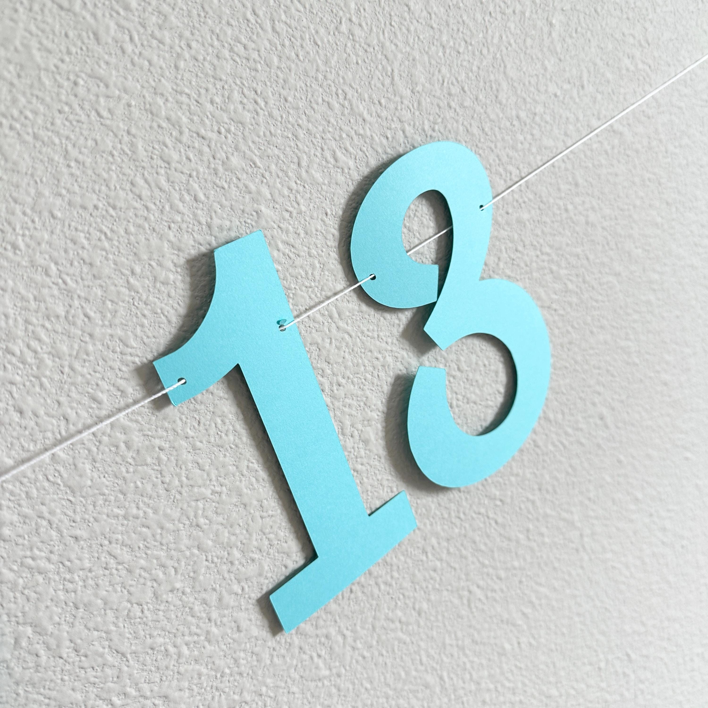 The Summer I Turned 13, 13th Birthday Party, Summertime Birthday Banner, Summer Birthday Decorations, The Summer I Turned 13 Banner