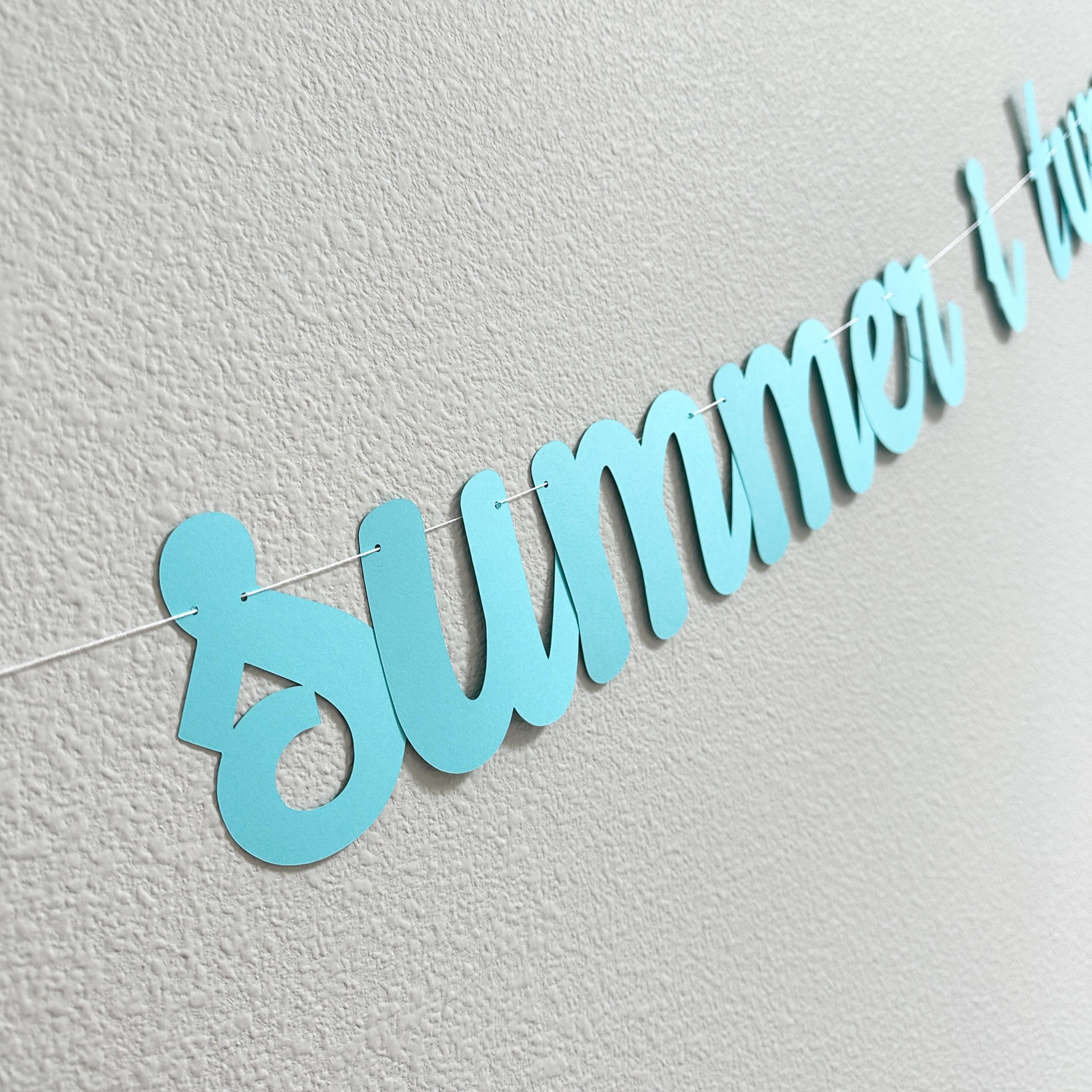 The Summer I Turned 13, 13th Birthday Party, Summertime Birthday Banner, Summer Birthday Decorations, The Summer I Turned 13 Banner