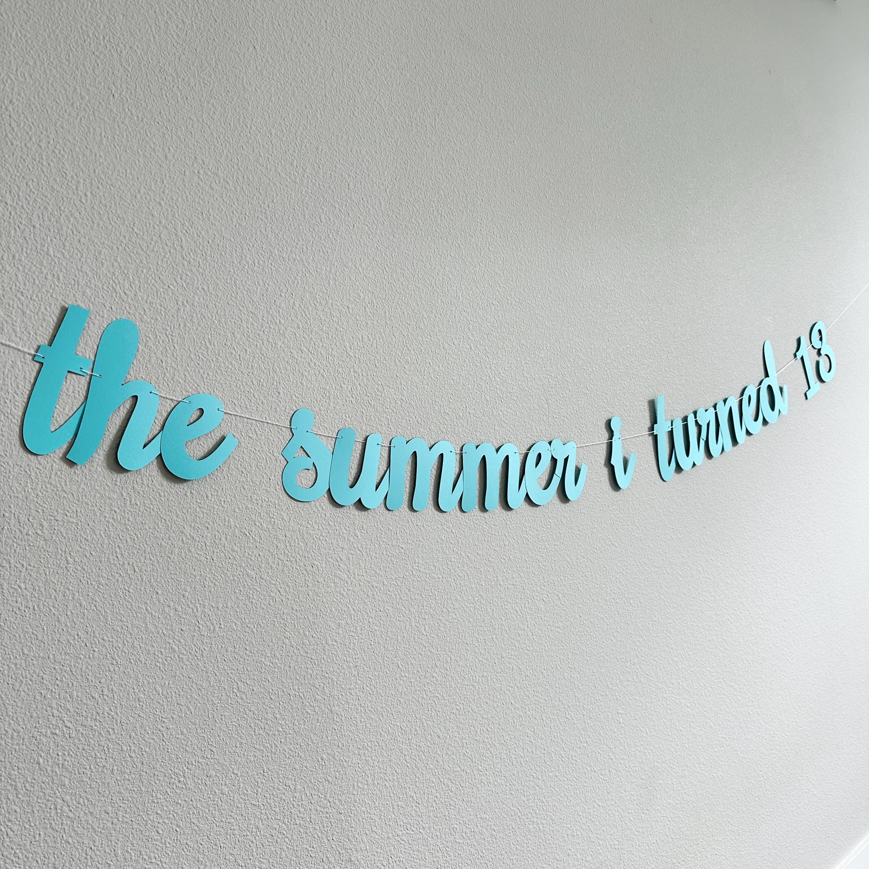 The Summer I Turned 13, 13th Birthday Party, Summertime Birthday Banner, Summer Birthday Decorations, The Summer I Turned 13 Banner