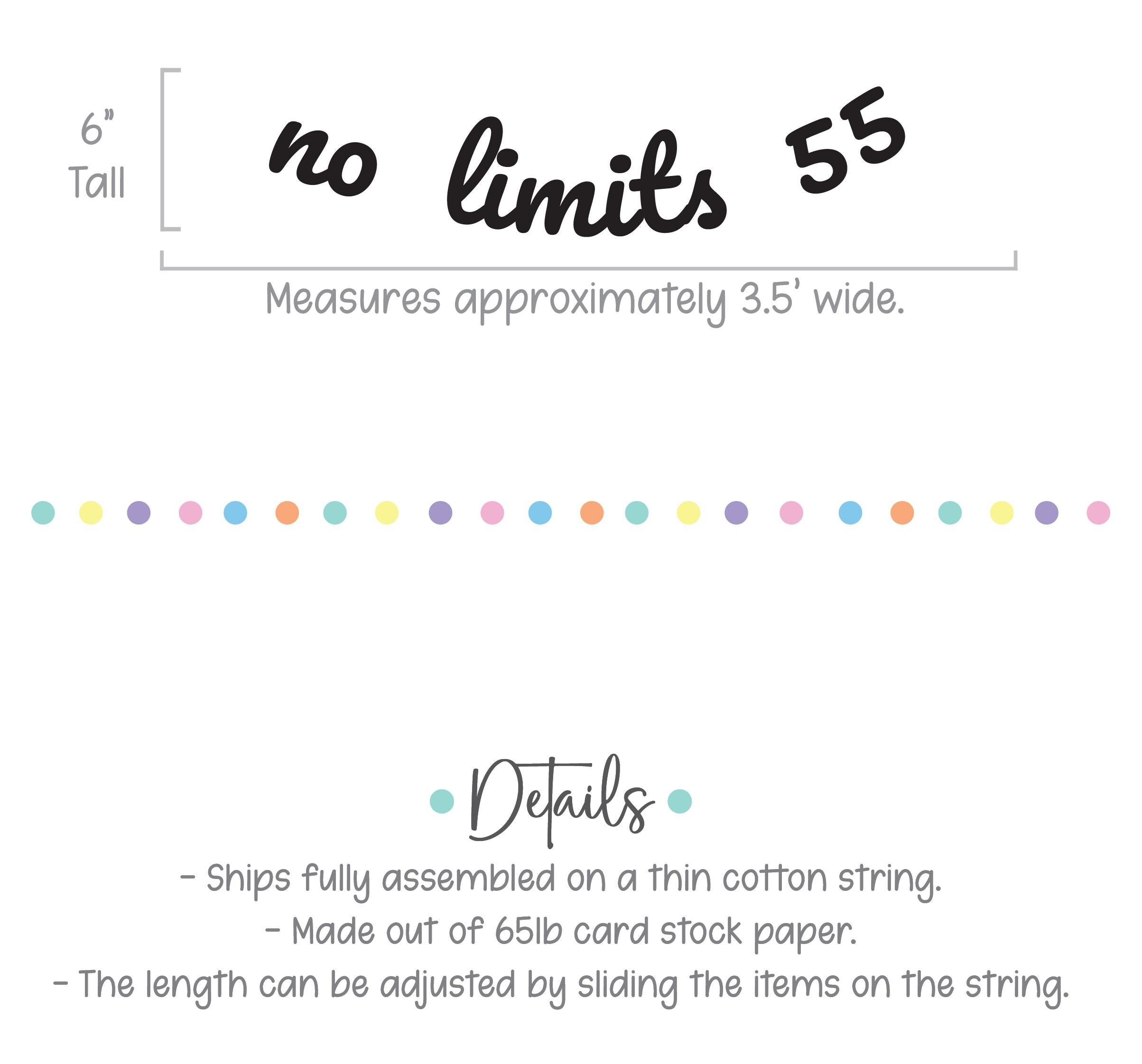 No Limits 55, 55th Birthday Banner, 55th Birthday Party Theme Ideas, No Limits 55 Decorations, 55th Birthday Party Decorations