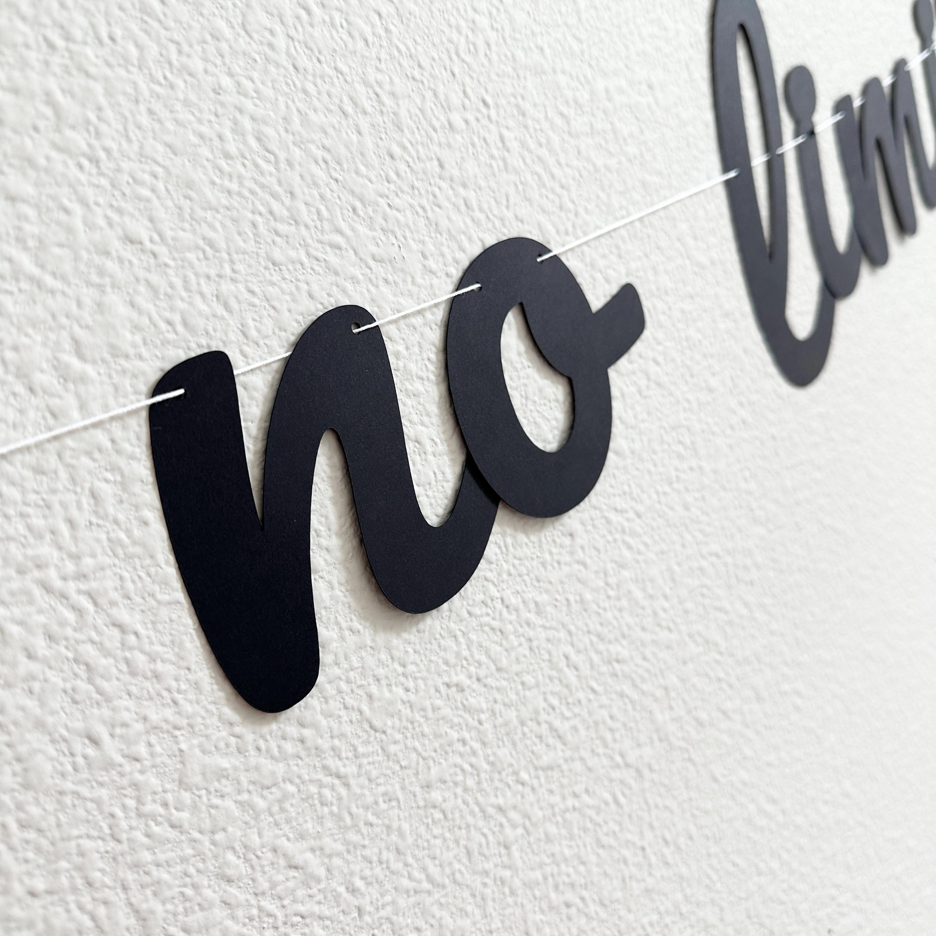 No Limits 55, 55th Birthday Banner, 55th Birthday Party Theme Ideas, No Limits 55 Decorations, 55th Birthday Party Decorations