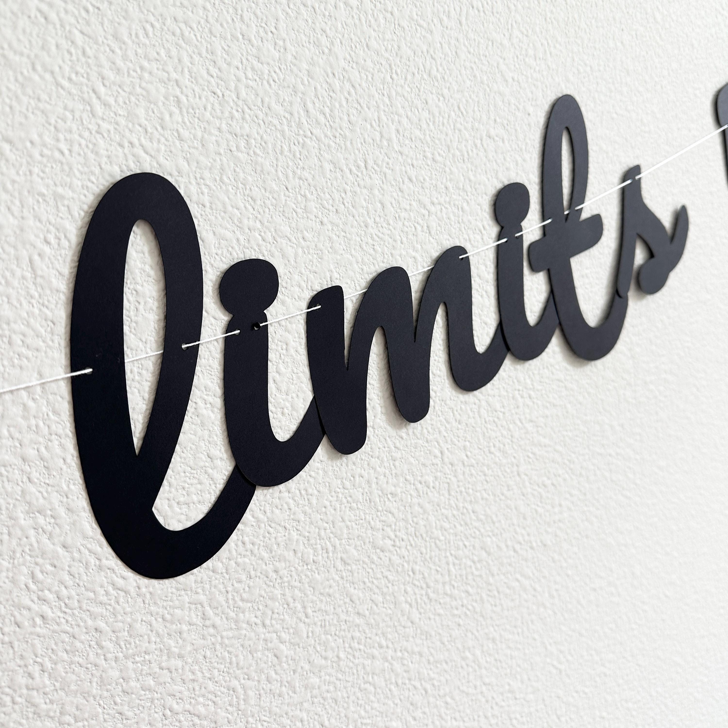 No Limits 55, 55th Birthday Banner, 55th Birthday Party Theme Ideas, No Limits 55 Decorations, 55th Birthday Party Decorations