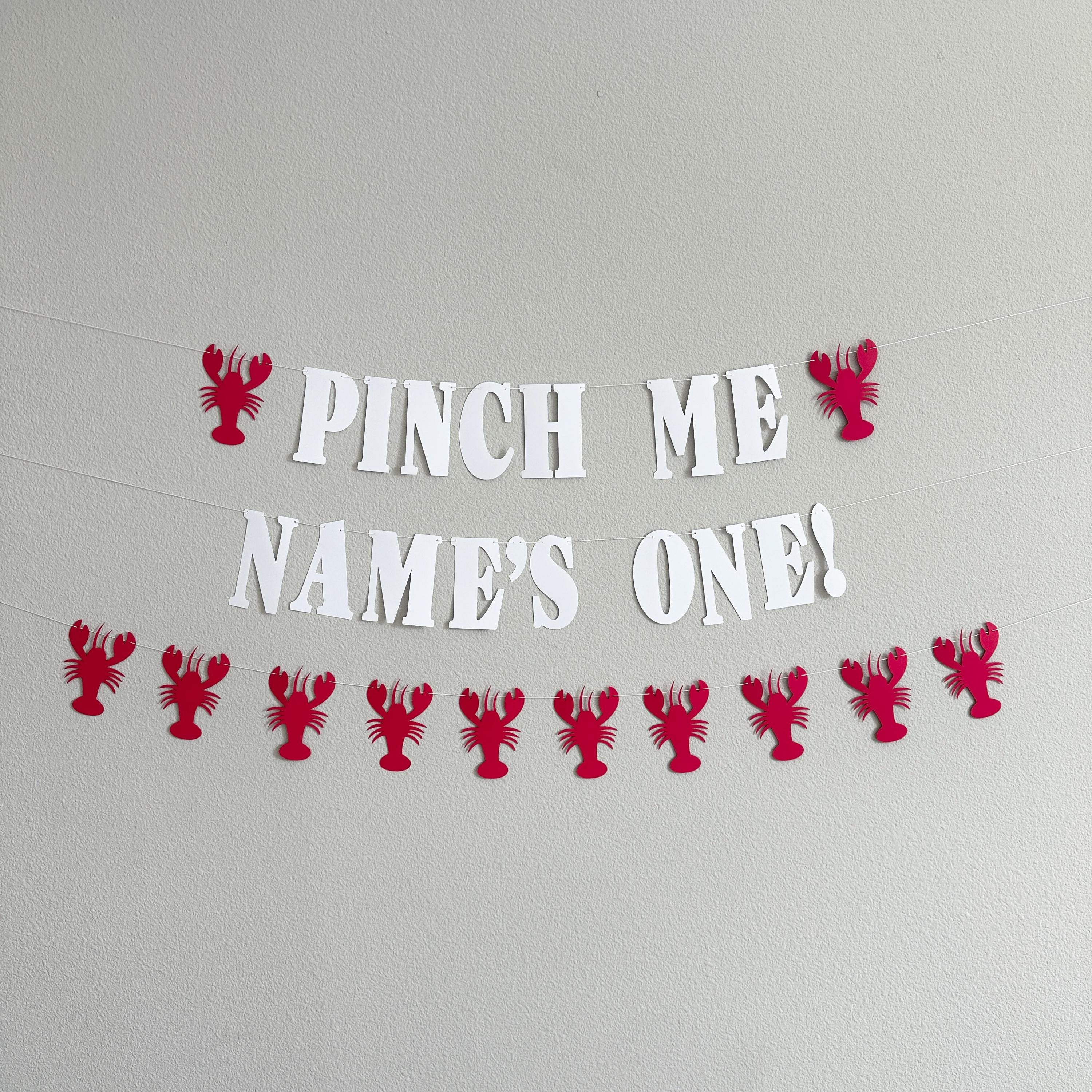 Pinch Me Name&#39;s One Lobster Banner, Lobster 1st Birthday Decorations, 1st Birthday Theme Ideas, Pinch Me Party