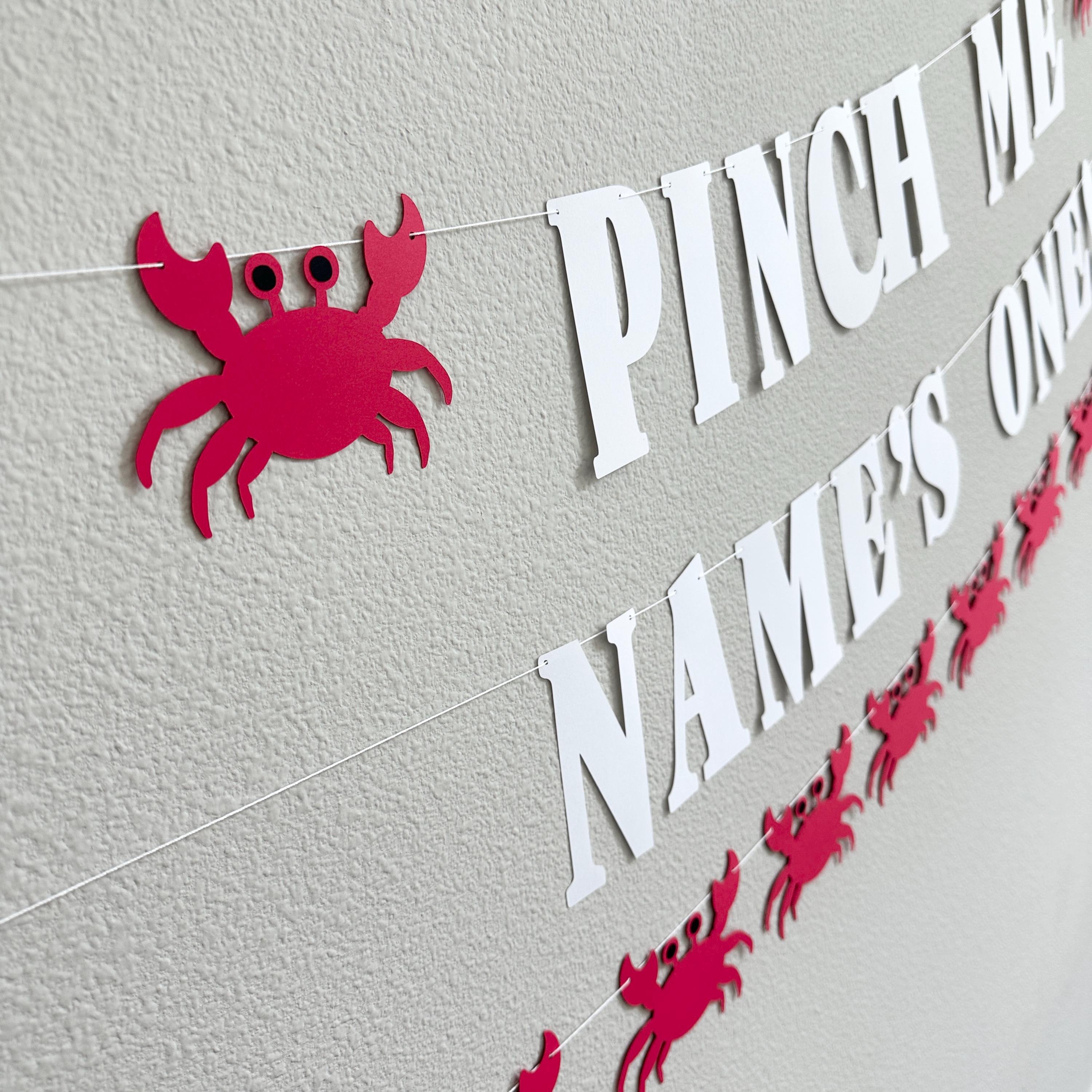 Pinch Me Name&#39;s One Crab Banner, Crab 1st Birthday Decorations, 1st Birthday Theme Ideas, Pinch Me Party