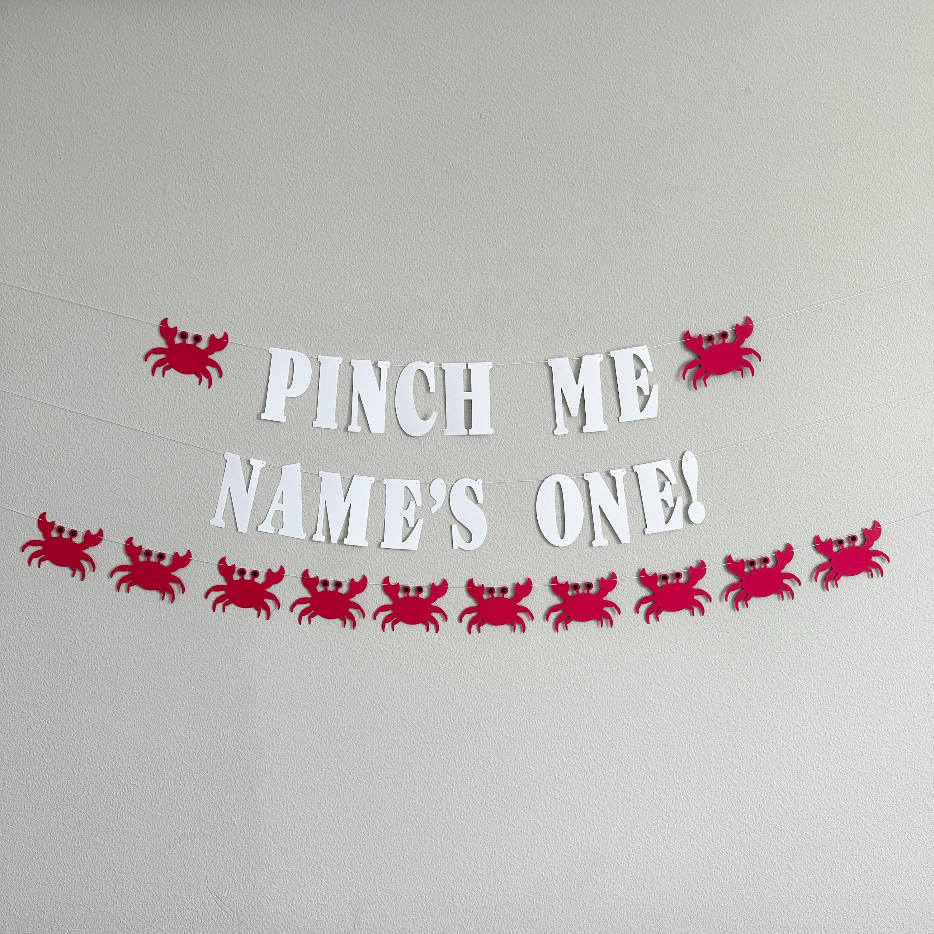 Pinch Me Name&#39;s One Crab Banner, Crab 1st Birthday Decorations, 1st Birthday Theme Ideas, Pinch Me Party