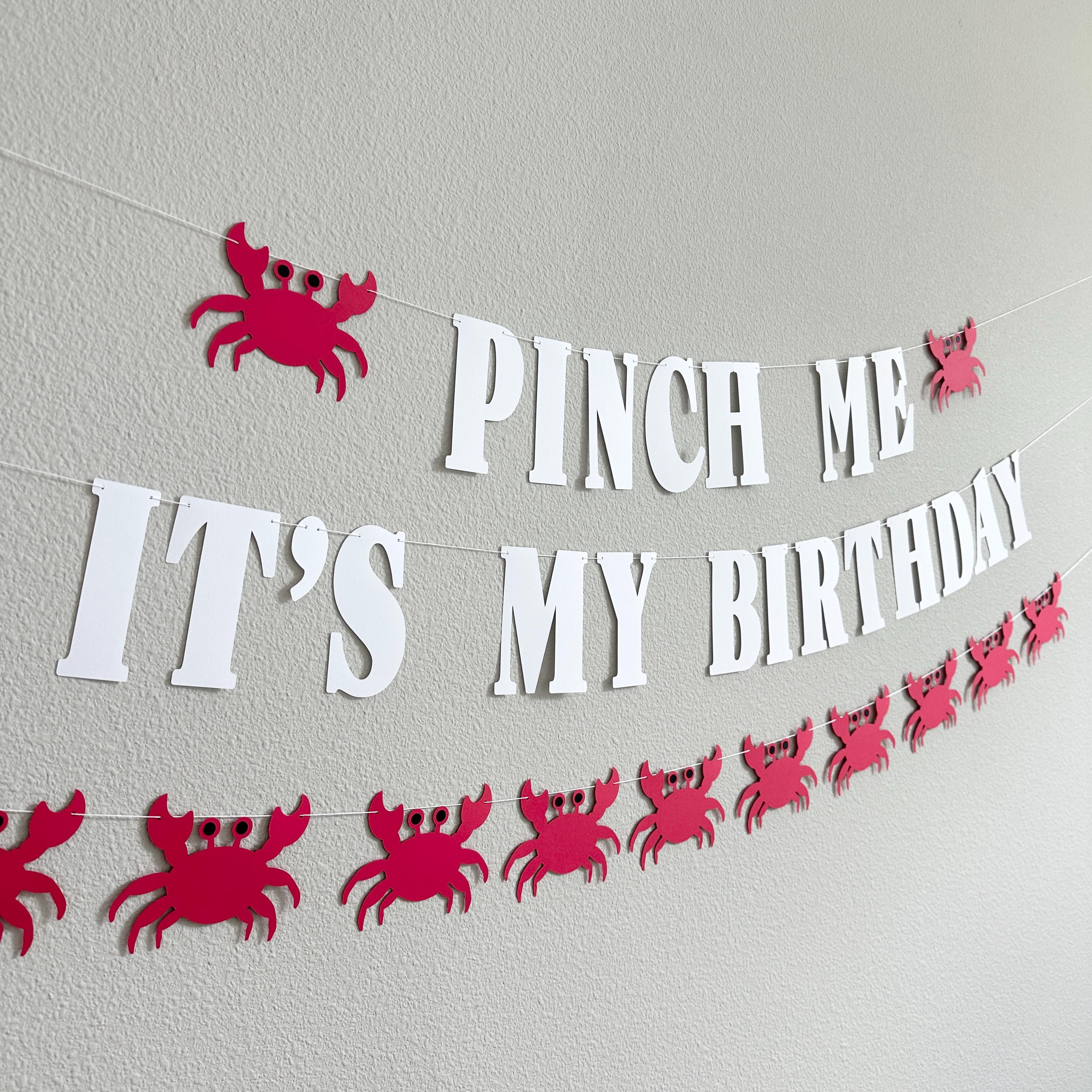 Pinch Me It&#39;s My Birthday, Crab Birthday Decorations, Crab Birthday Party Celebration, Crab Birthday Party Sign, Pinch Me Party
