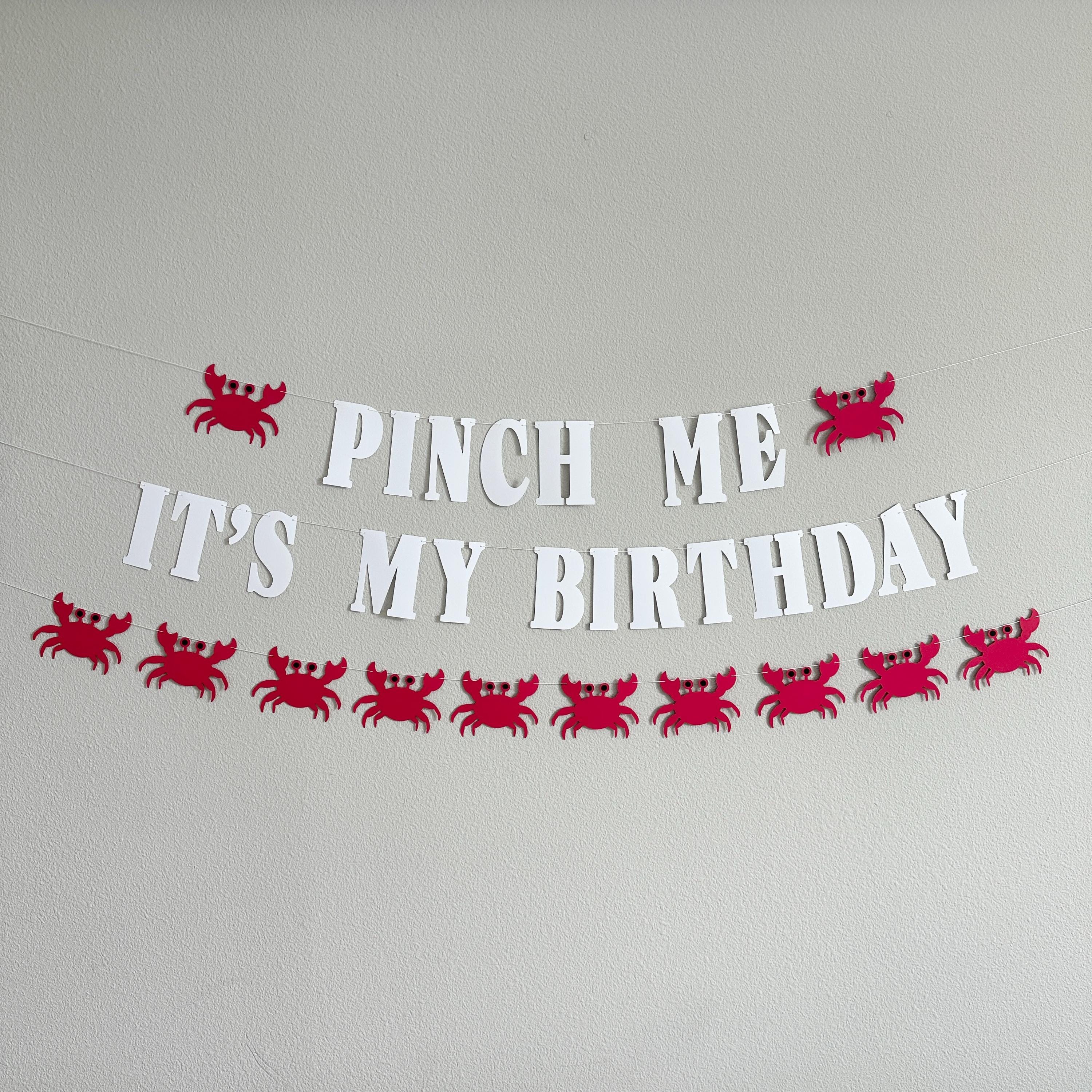 Pinch Me It&#39;s My Birthday, Crab Birthday Decorations, Crab Birthday Party Celebration, Crab Birthday Party Sign, Pinch Me Party