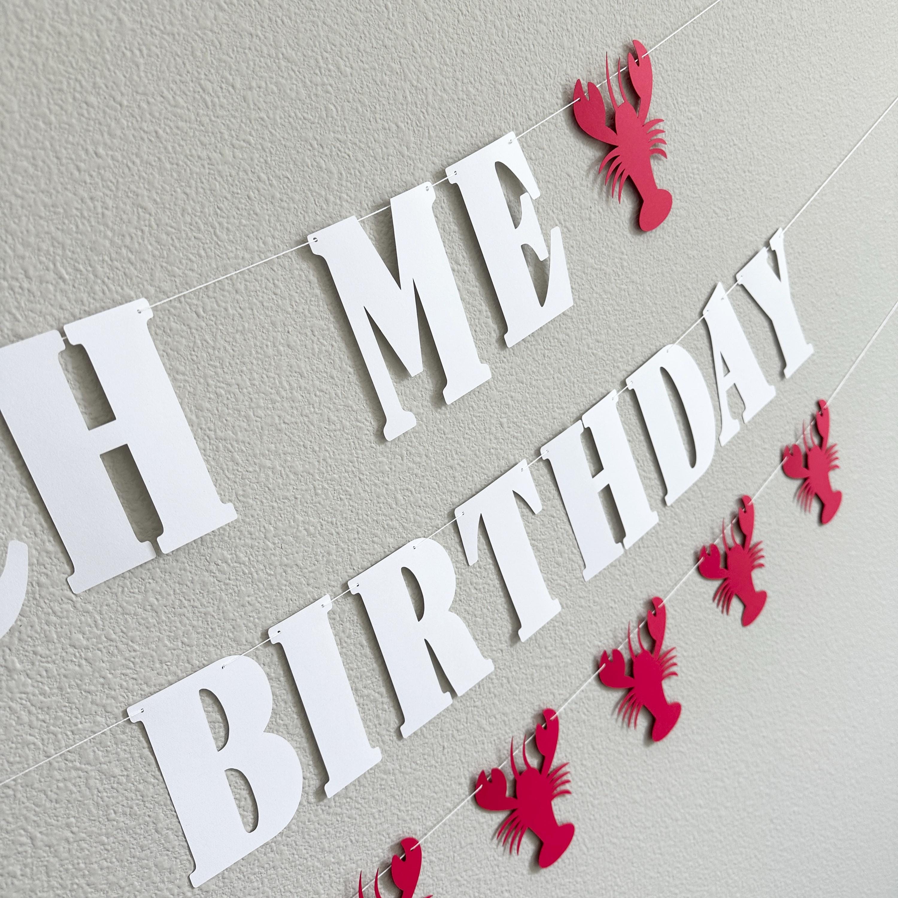 Pinch Me It&#39;s My Birthday Lobster Banner, Lobster Birthday Decorations, Pinch Me Party Lobster Decorations