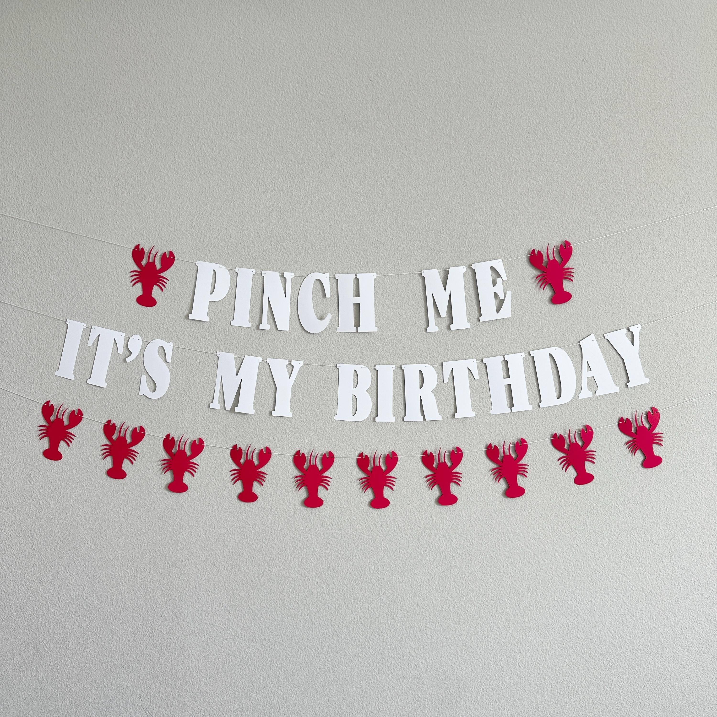 Pinch Me It&#39;s My Birthday Lobster Banner, Lobster Birthday Decorations, Pinch Me Party Lobster Decorations
