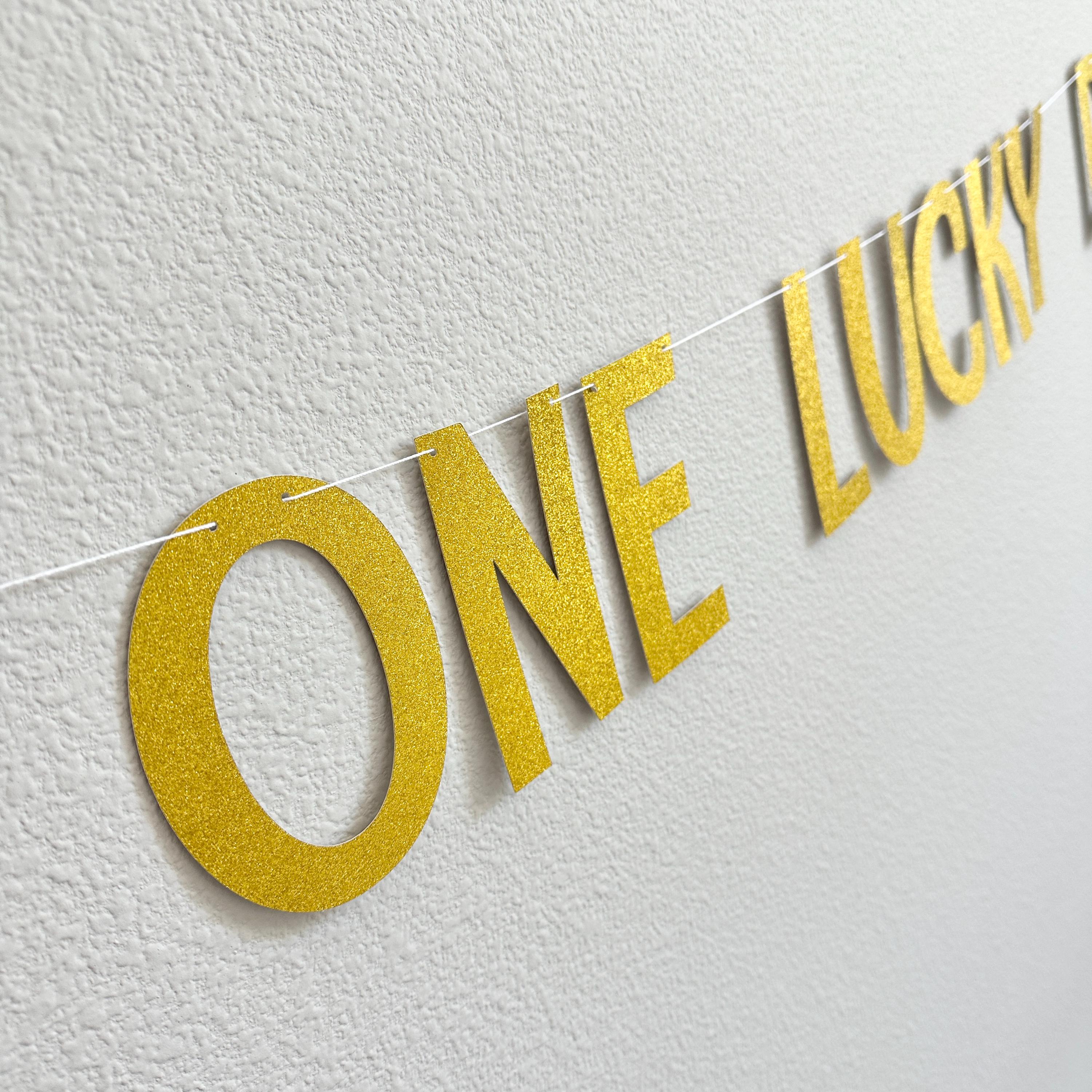 Name Is One Lucky Ducky, 1st Birthday Duck Theme, Lucky Ducky Birthday Banner, 1st Birthday Ideas, Rubber Duck 1st Birthday Banner