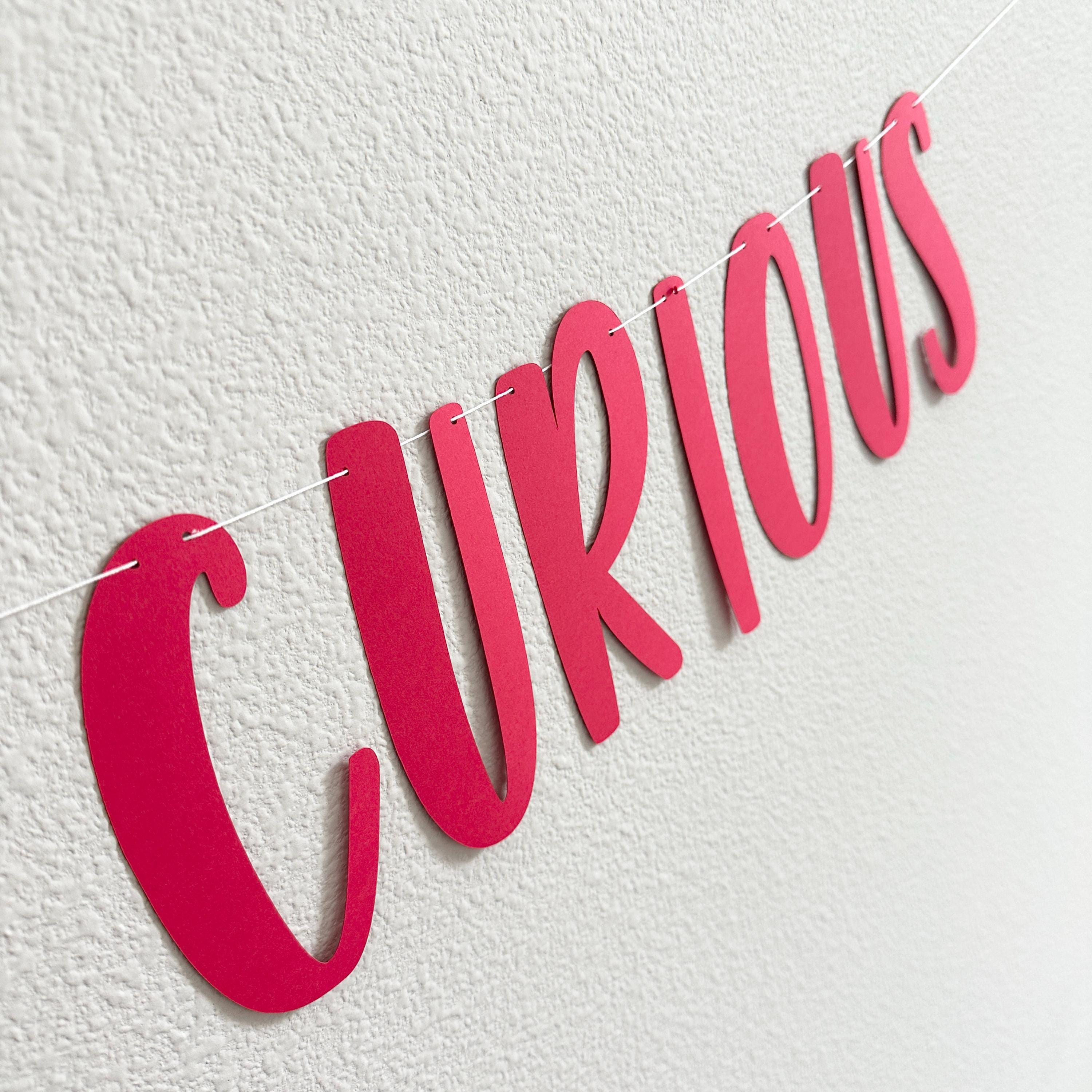 Stay Curious, Curious Banner, Curious Party, Curious Birthday Decorations, Stay Curious Banner, Stay Curious Party Decoration